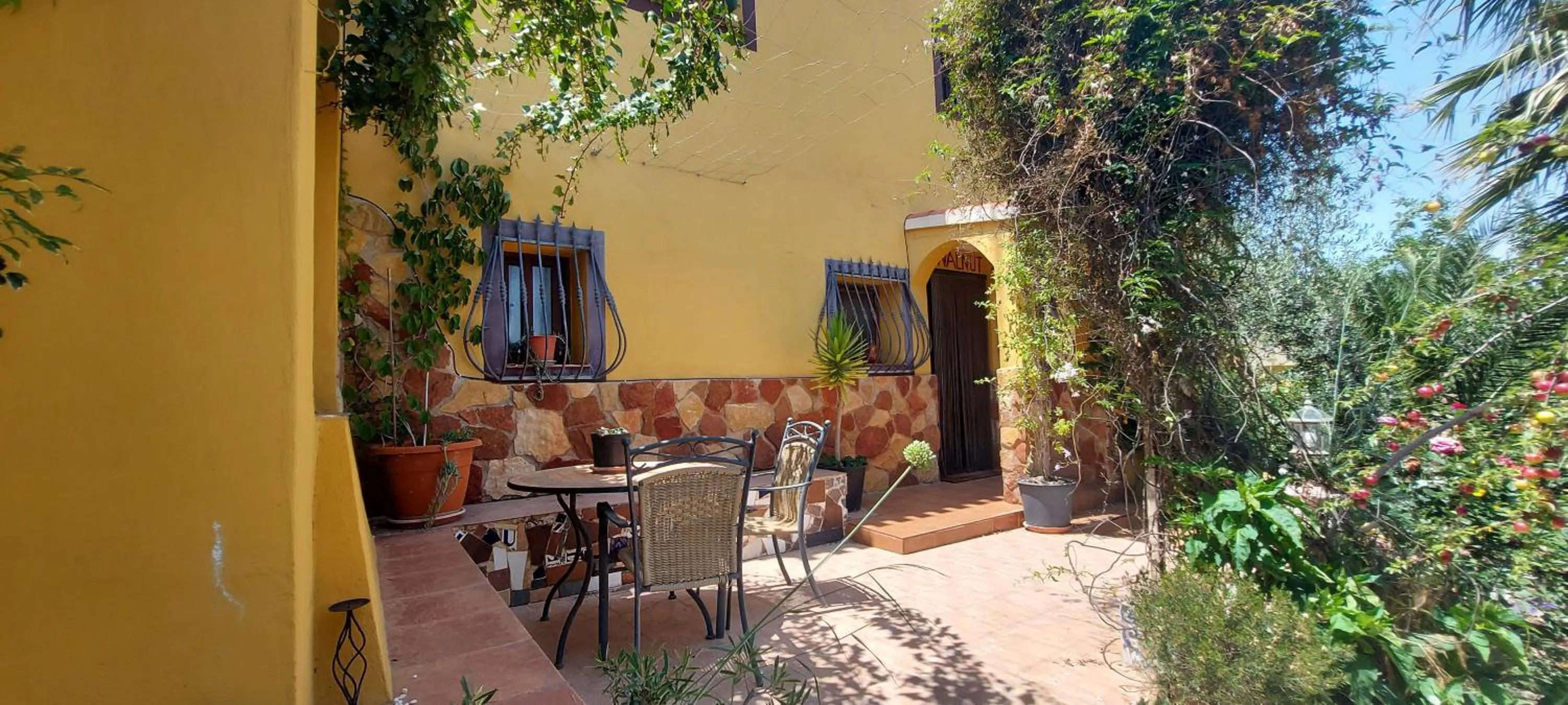 Patio in Casa Joya