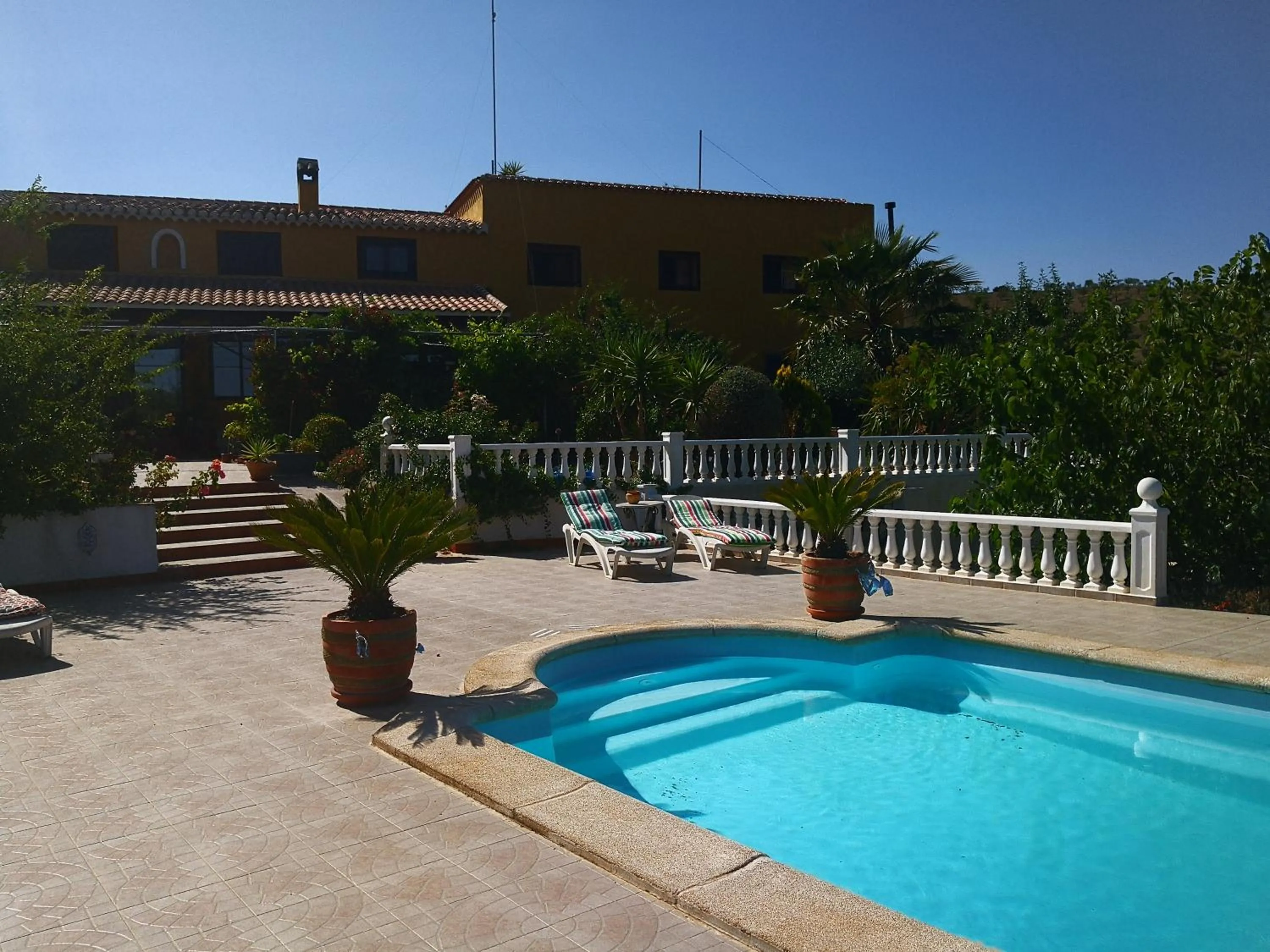Swimming pool in Casa Joya