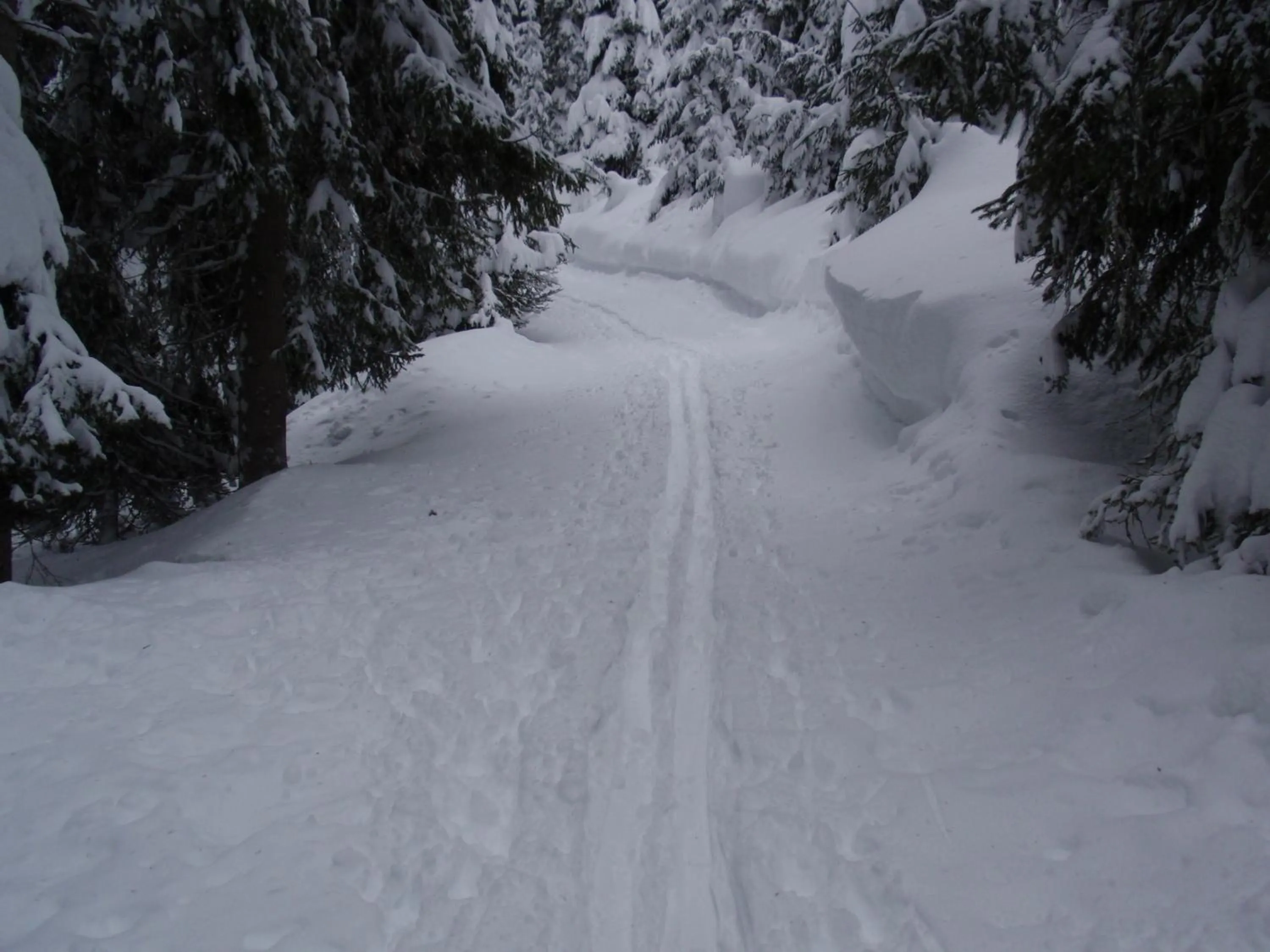 Skiing in Pensione Vittoria