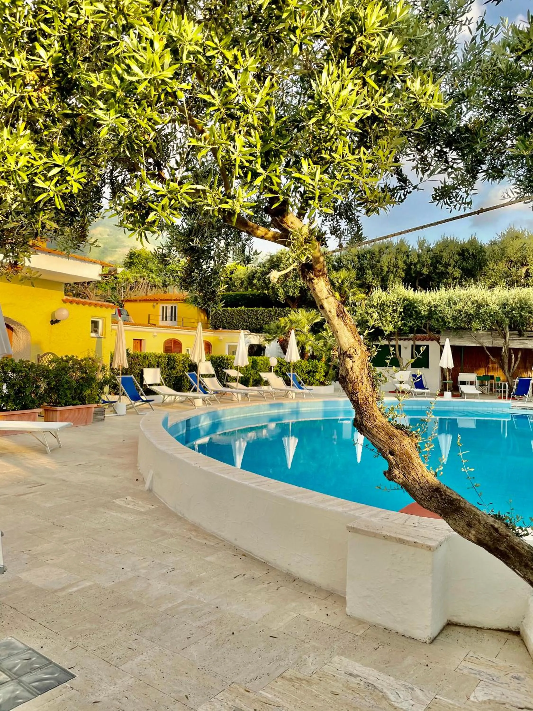 Swimming pool in Hotel La Scogliera