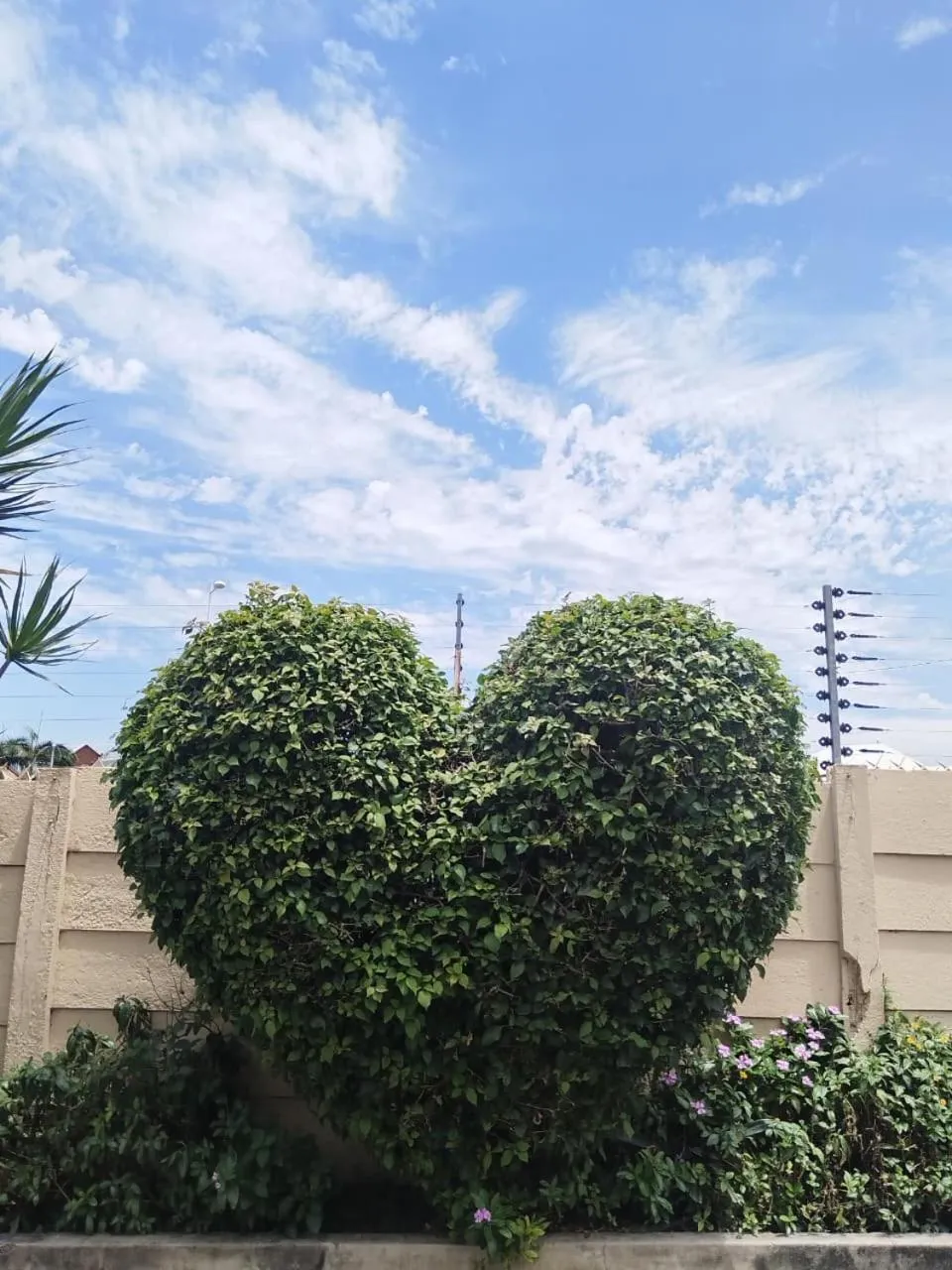 Concord Christian Guesthouse