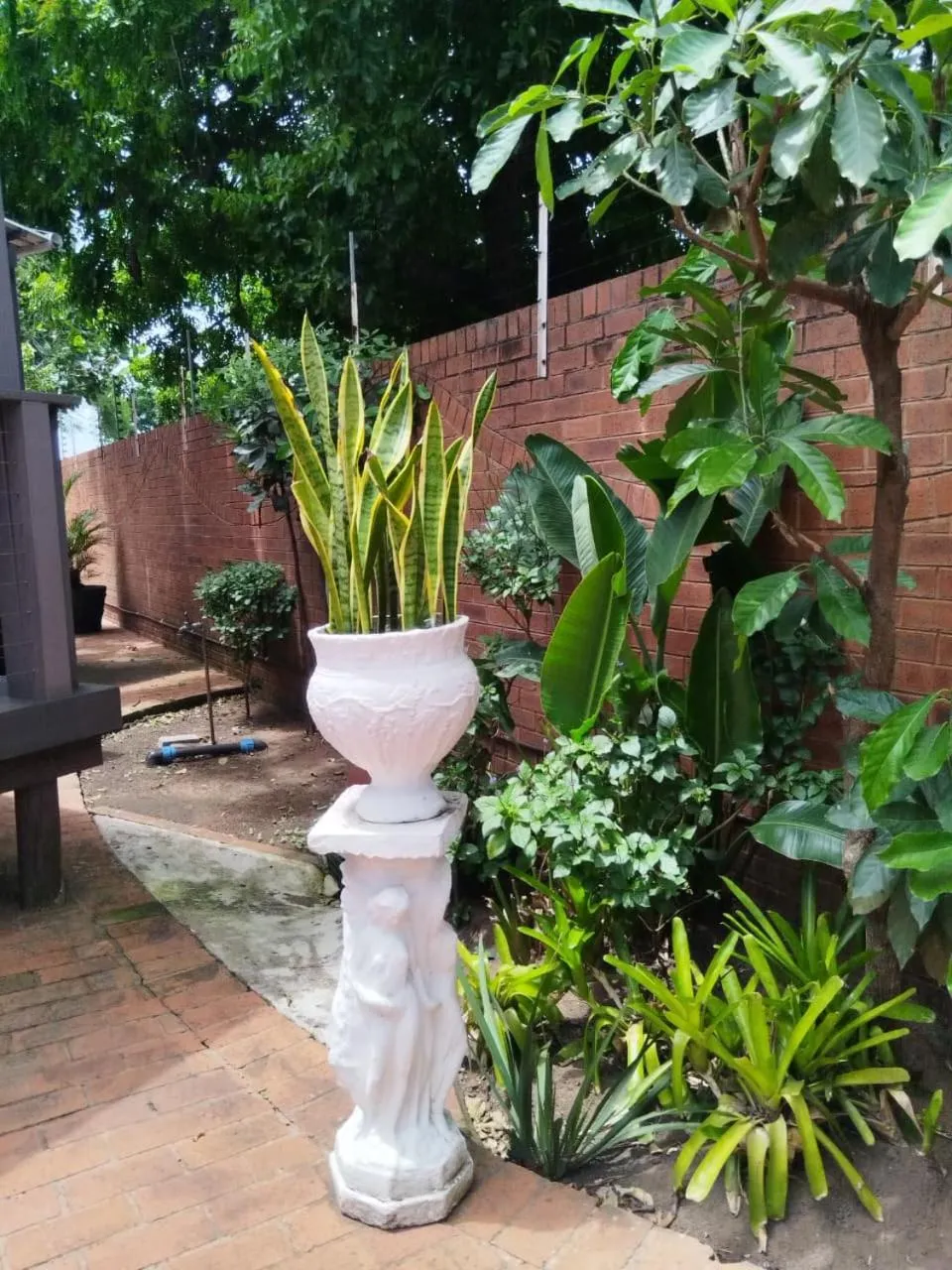 Garden in Concord Christian Guesthouse