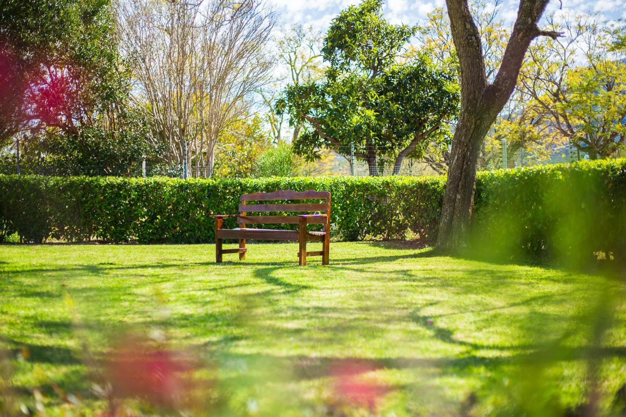 Garden in Herberg Manor
