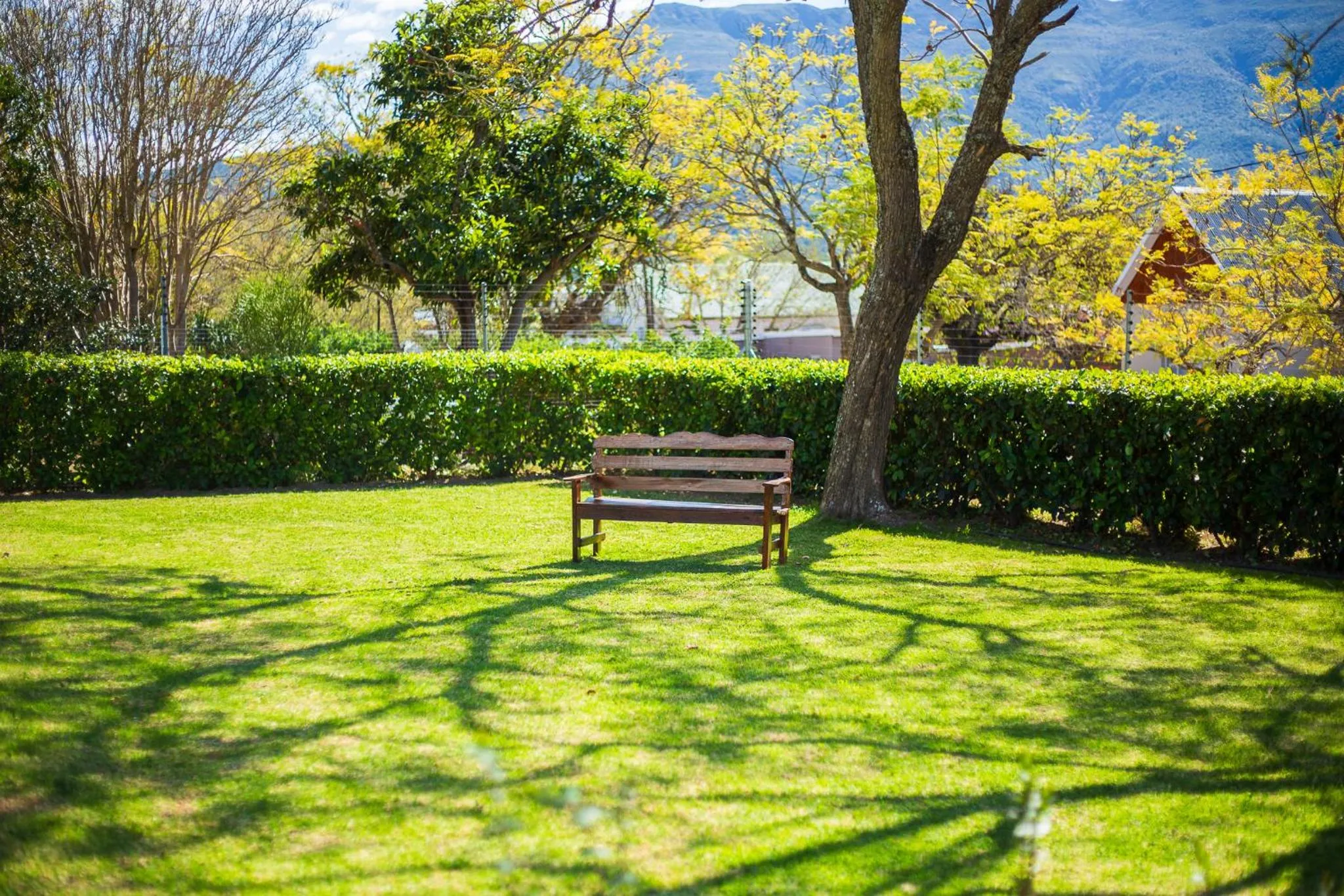 Garden view in Herberg Manor