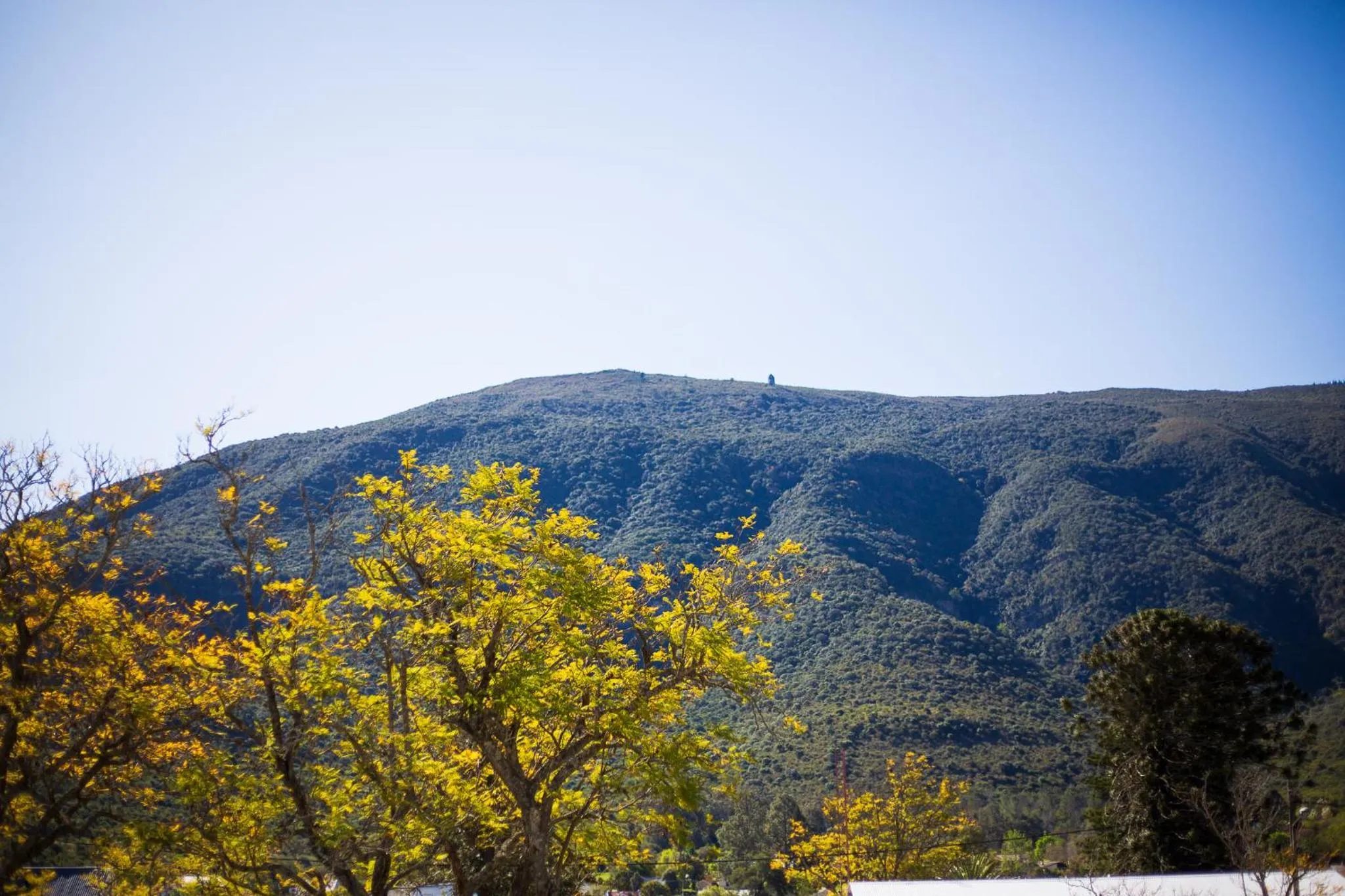 View (from property/room) in Herberg Manor