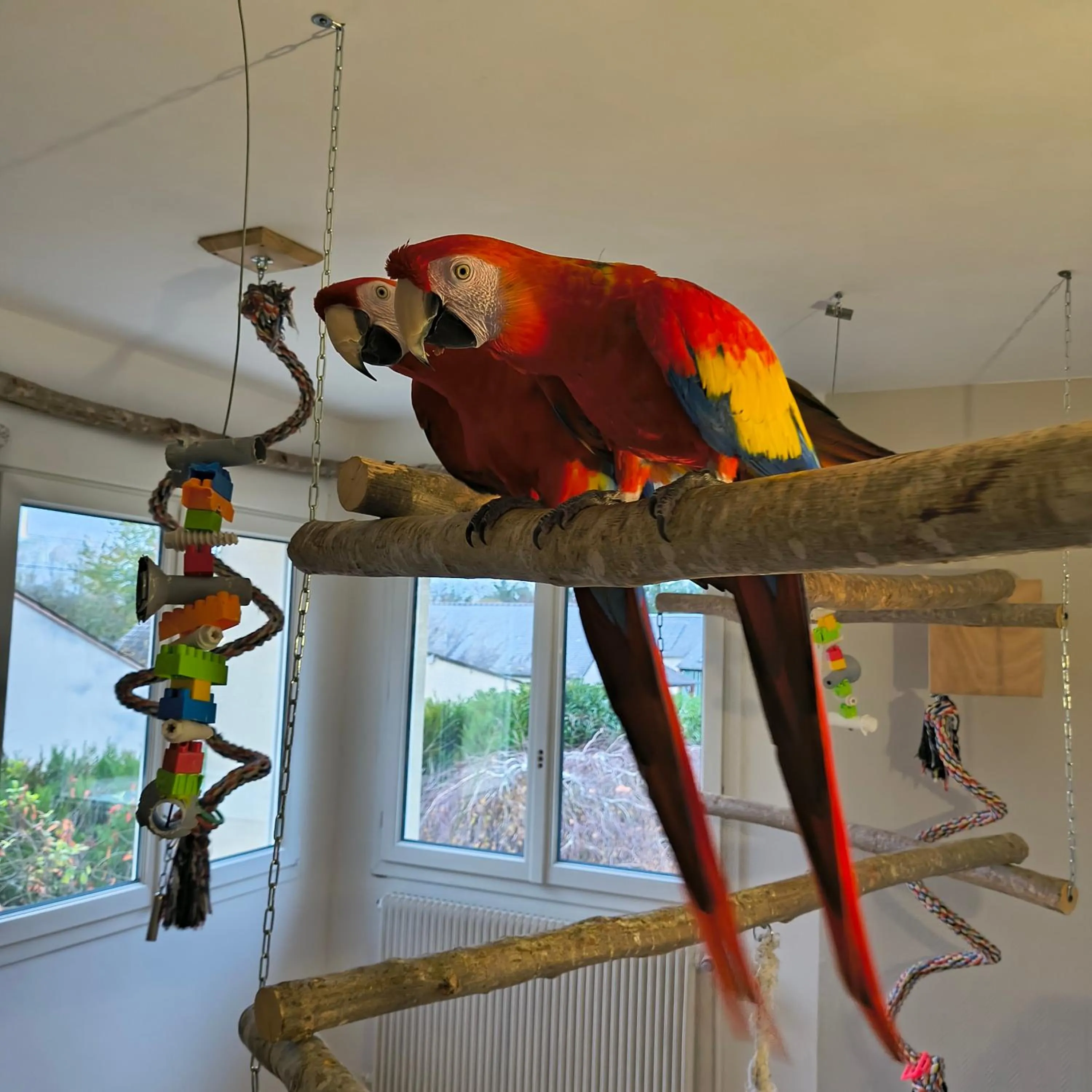 View (from property/room) in La Girouardière