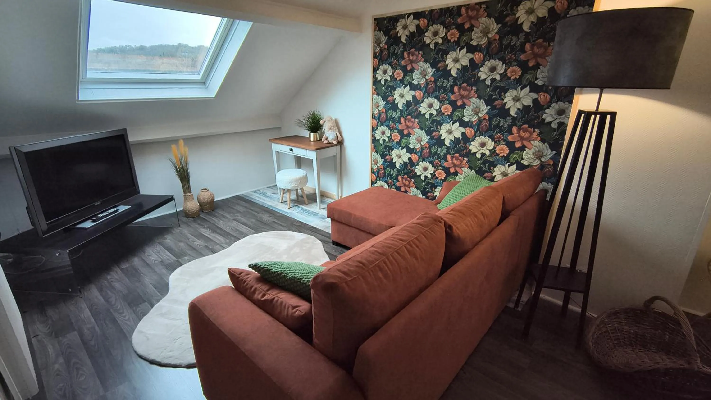 TV and multimedia in La Girouardière