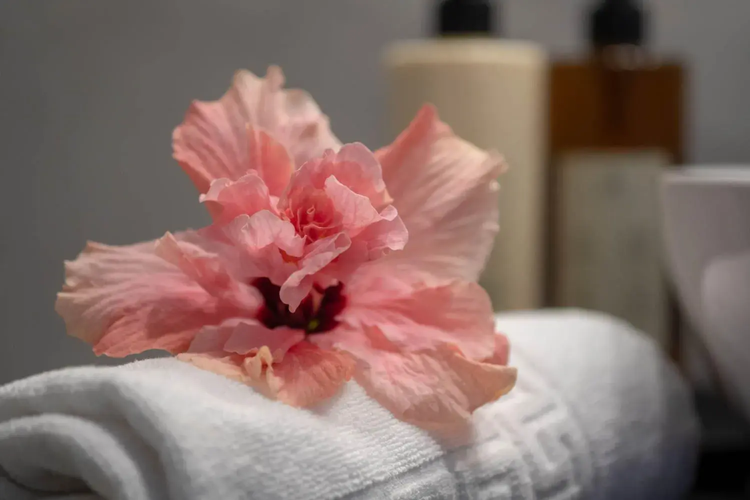 Bedroom in Quinta das Vinhas Bedroom in Quinta das Vinhas