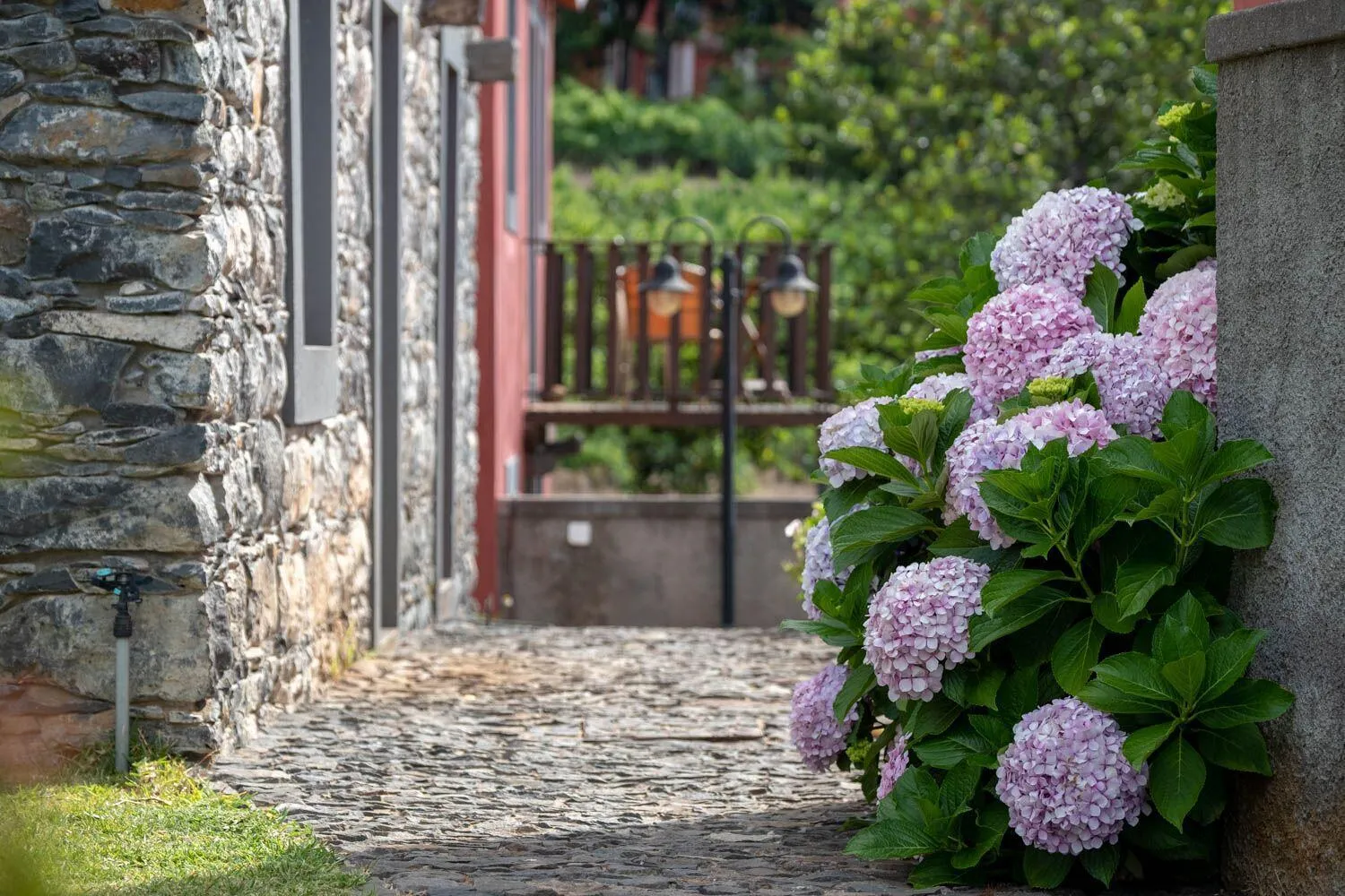 Bird's eye view in Quinta das Vinhas