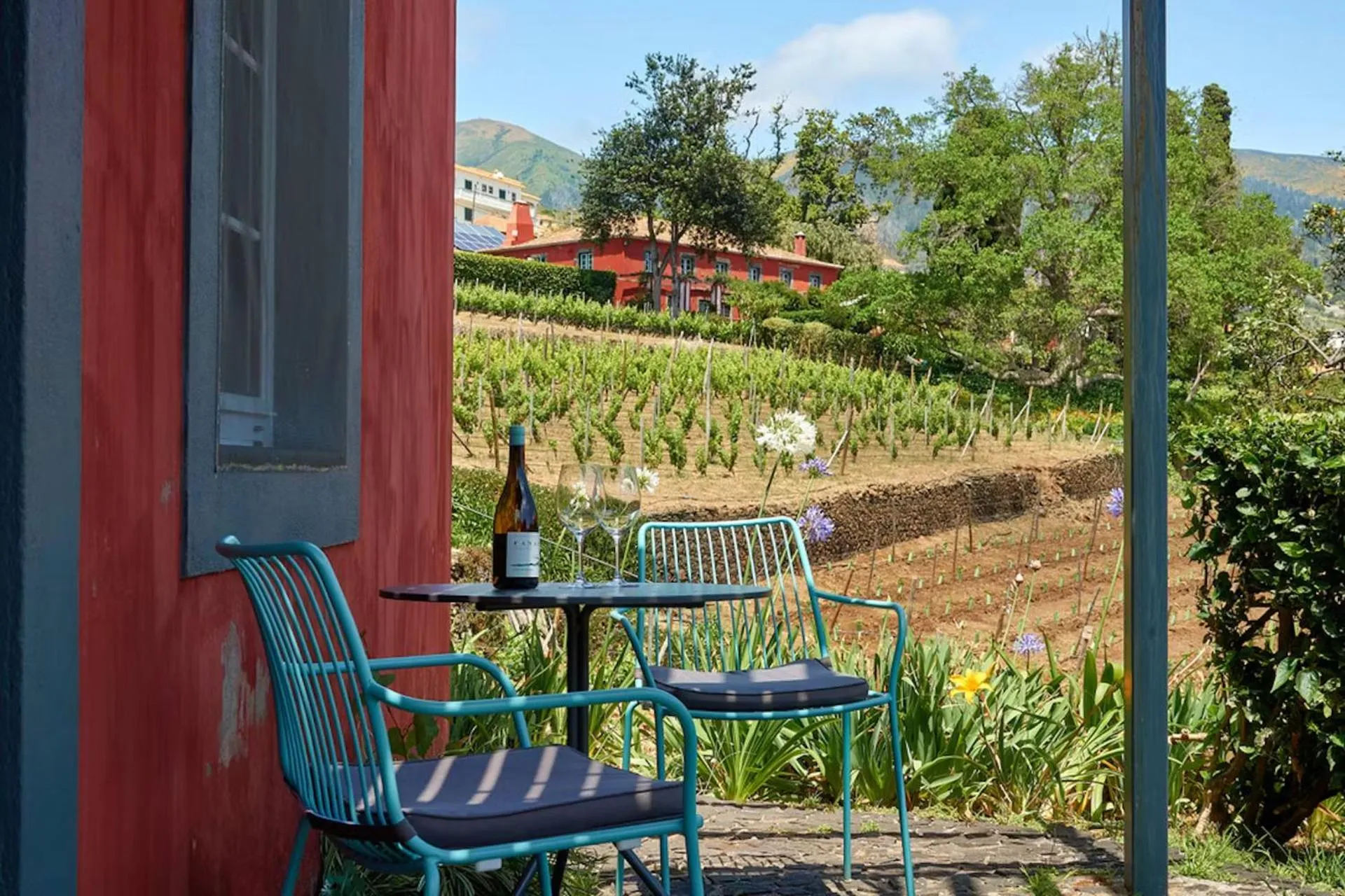 Natural landscape in Quinta das Vinhas