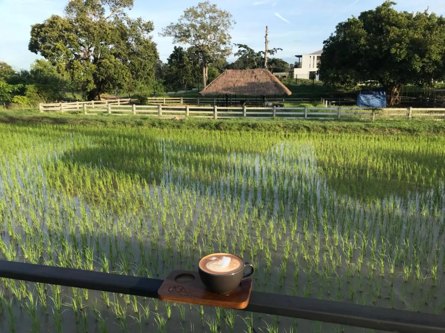 Mae On Village Resort