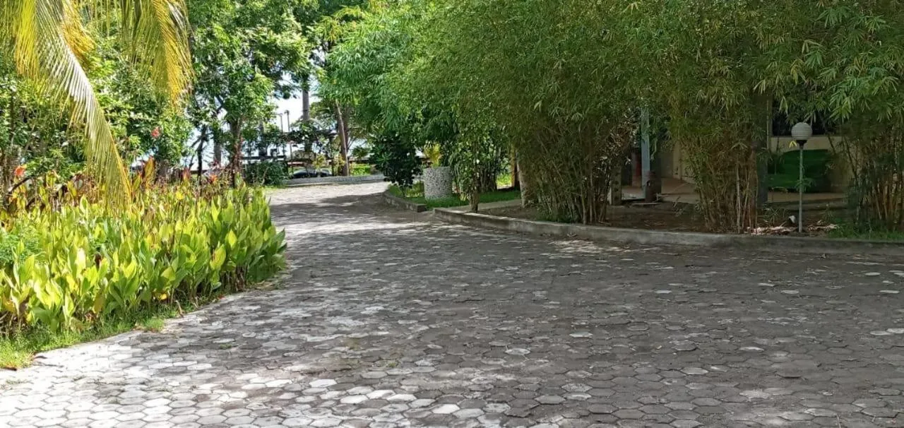 Garden view in Hotel Wailiti