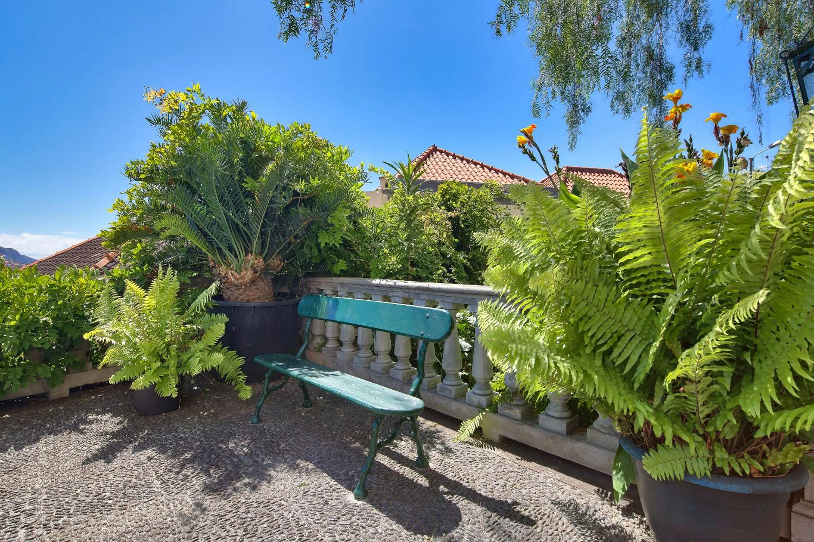 Garden in Hotel Monte Carlo