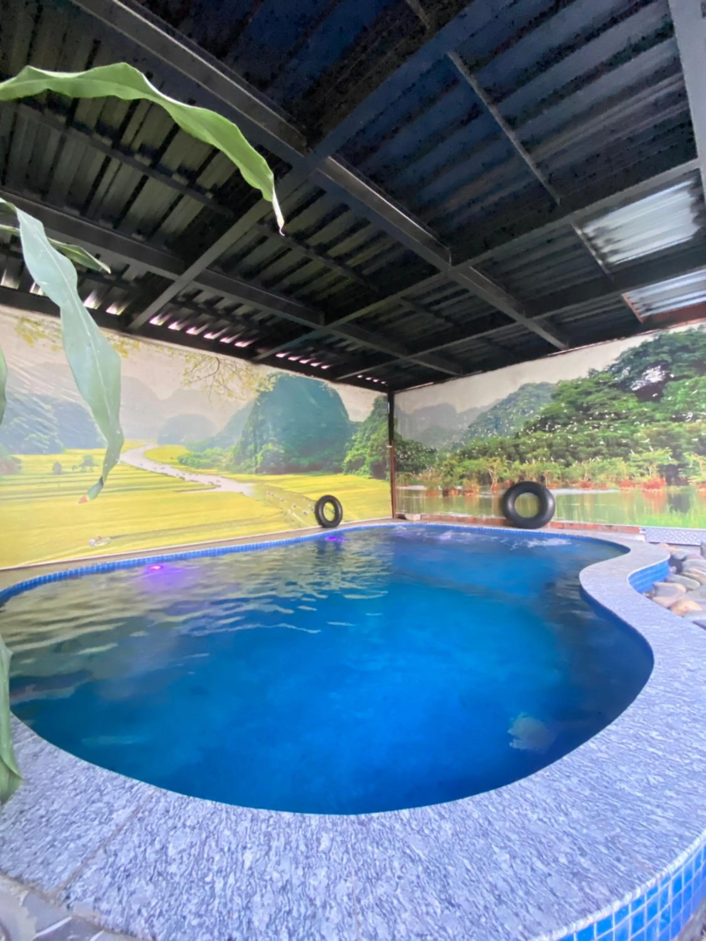 Pool view in Trang An Central Homestay