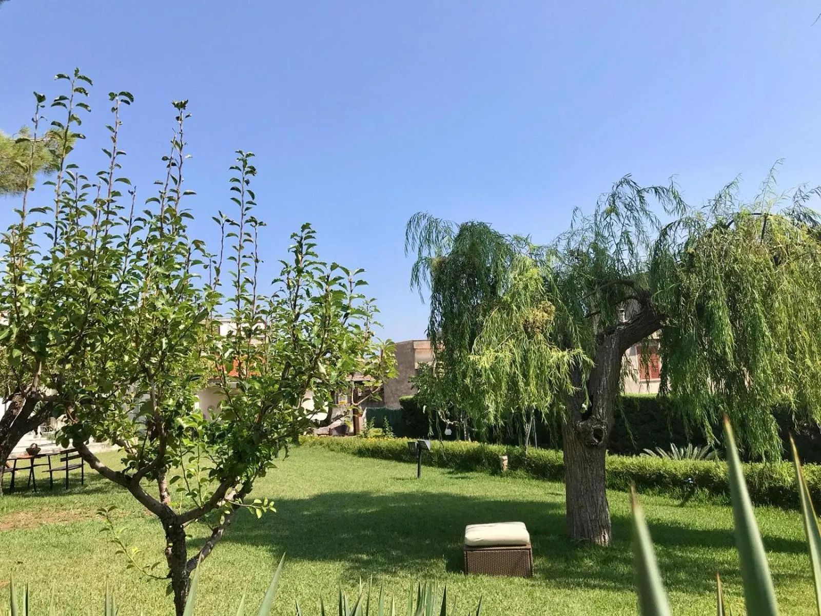 Garden in Cappuccini Green Relax