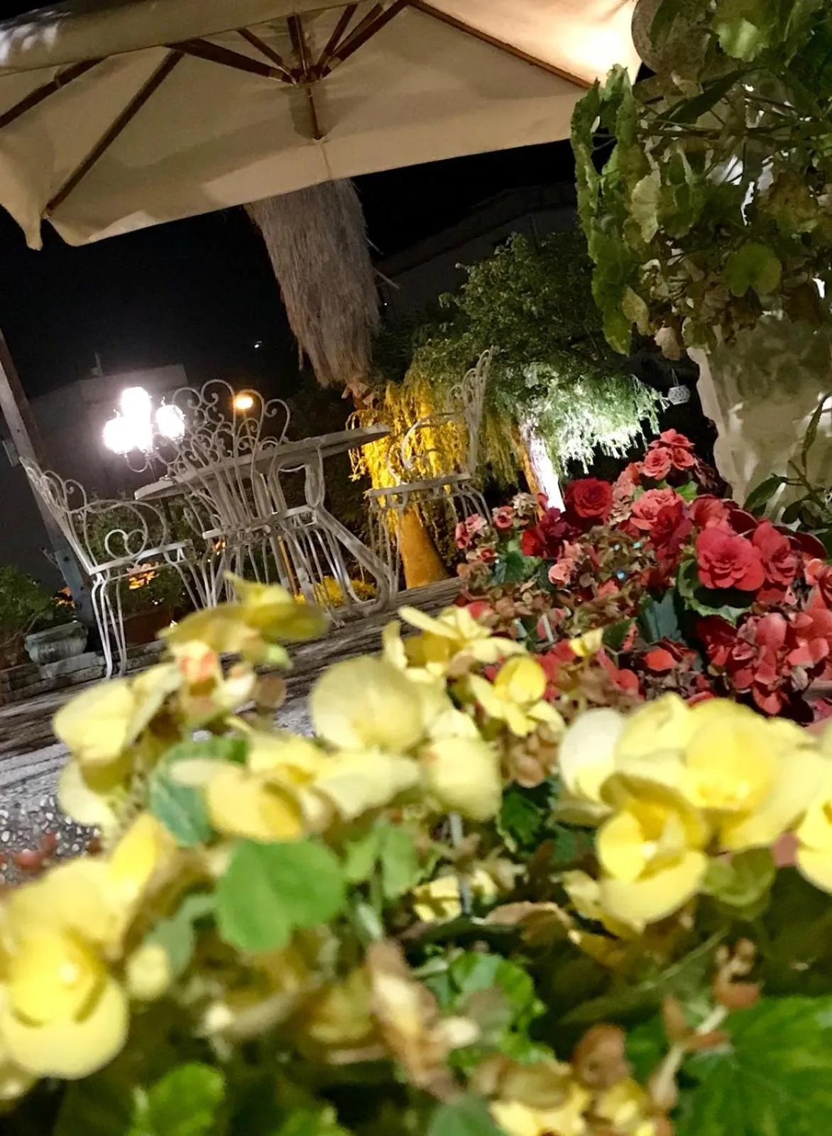 Garden in Cappuccini Green Relax