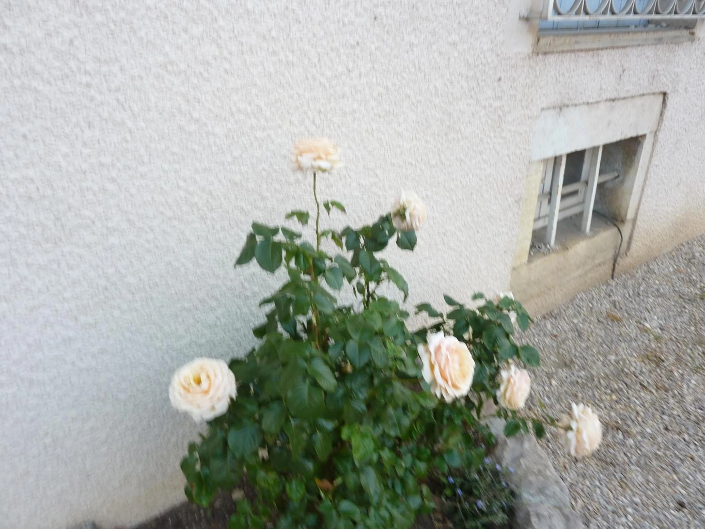 Other in Lac'Hotel France