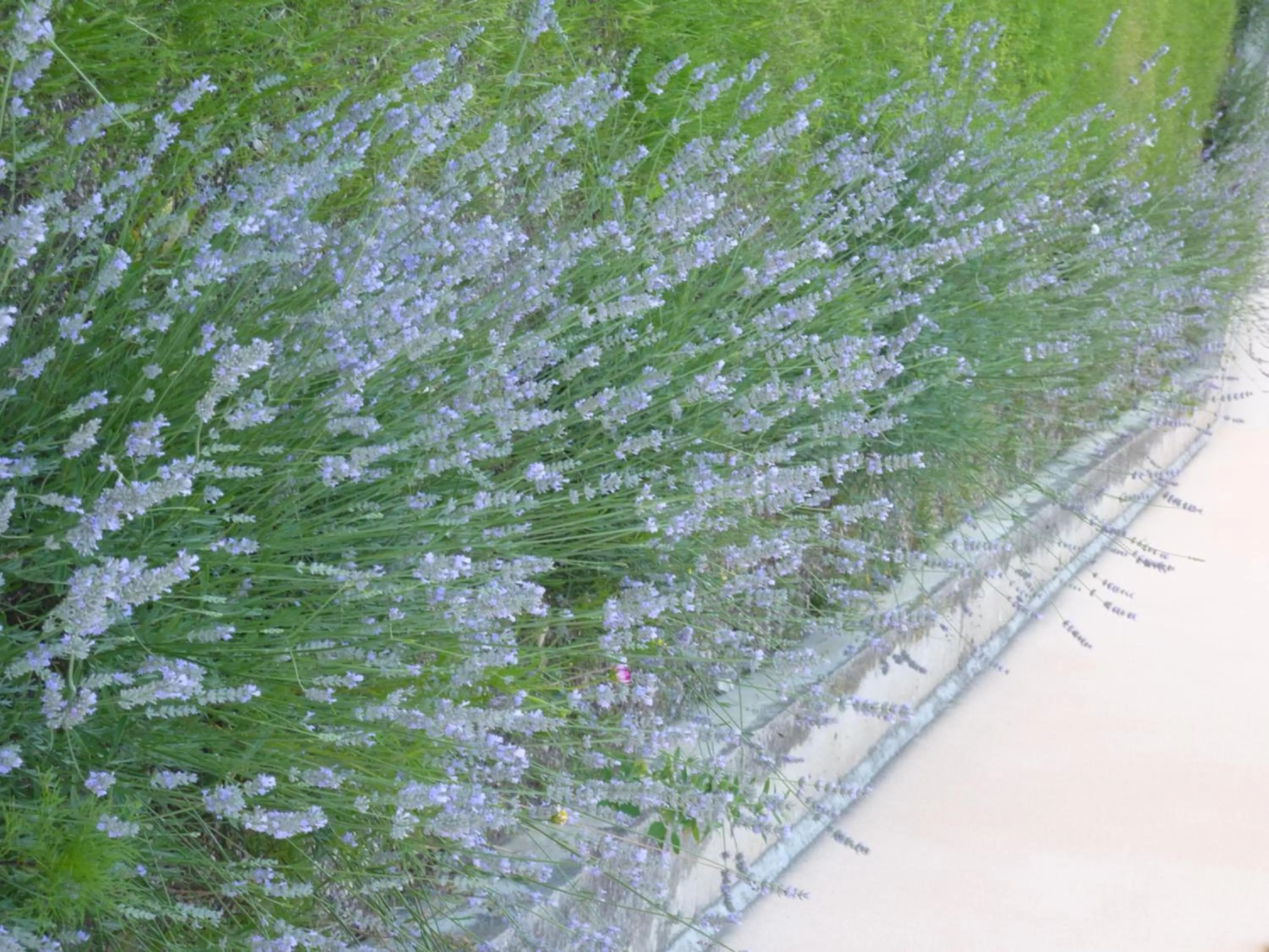 Other in Lac'Hotel France