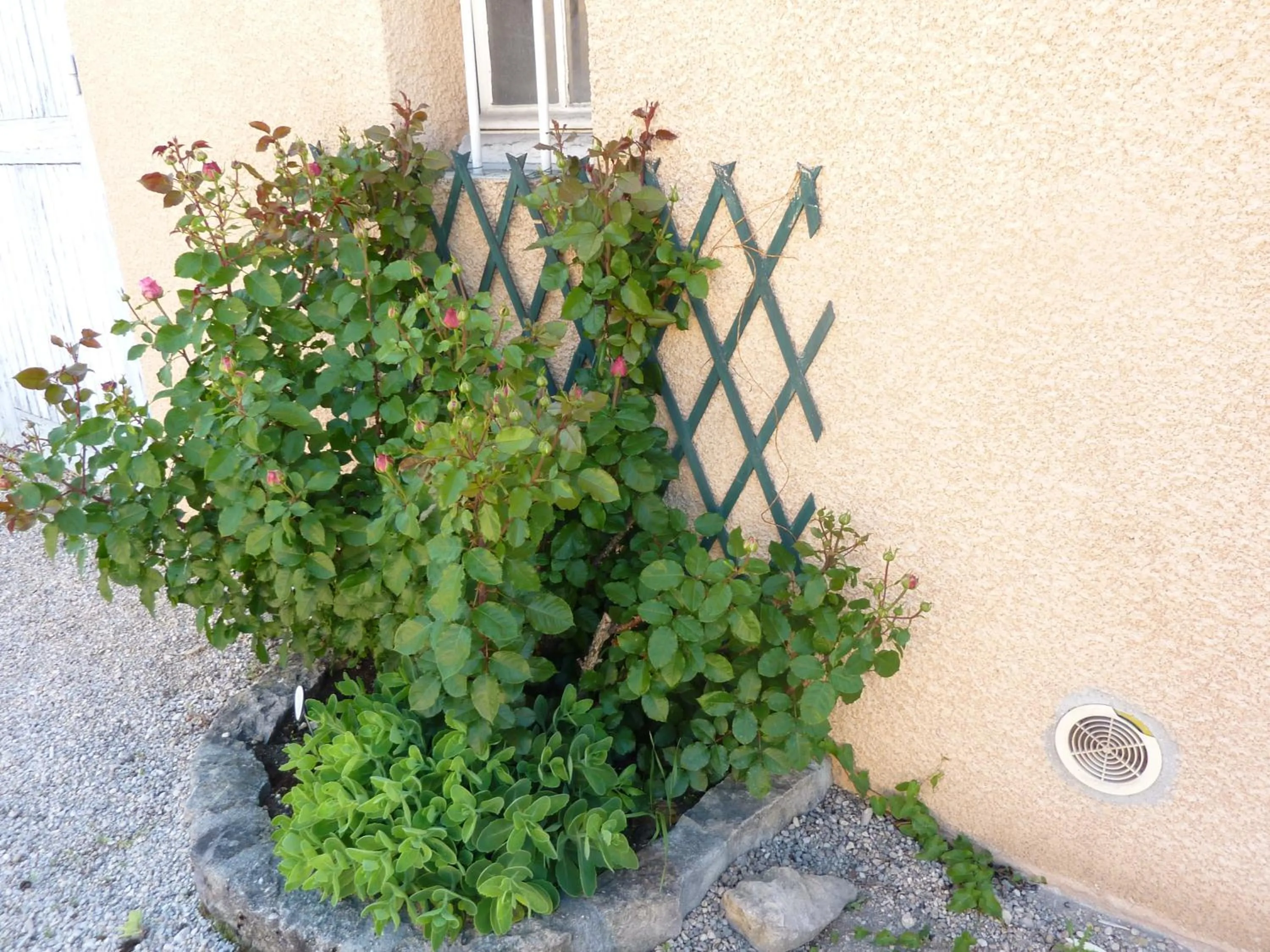 Garden in Lac'Hotel France
