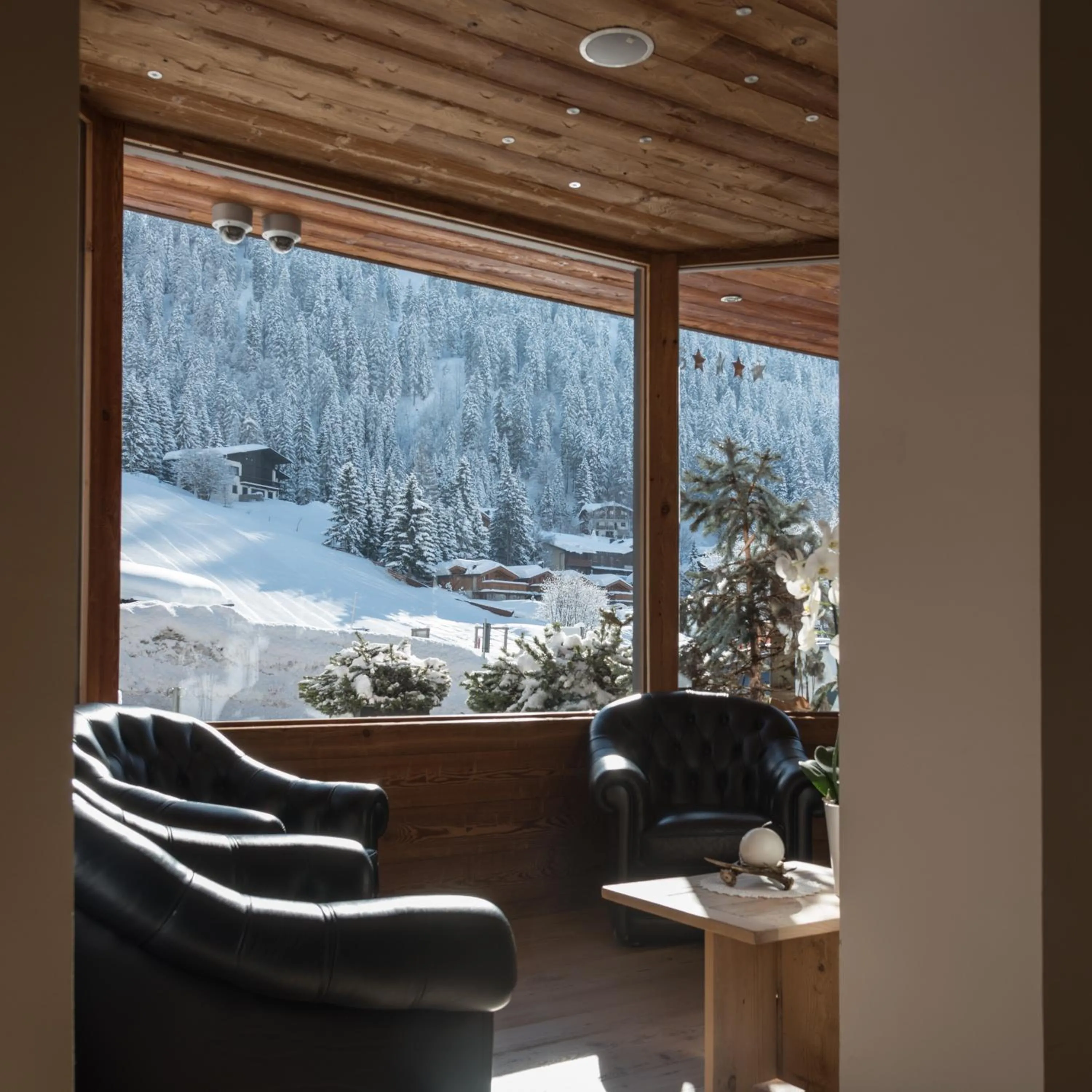 Chalet Laura Lodge Hotel