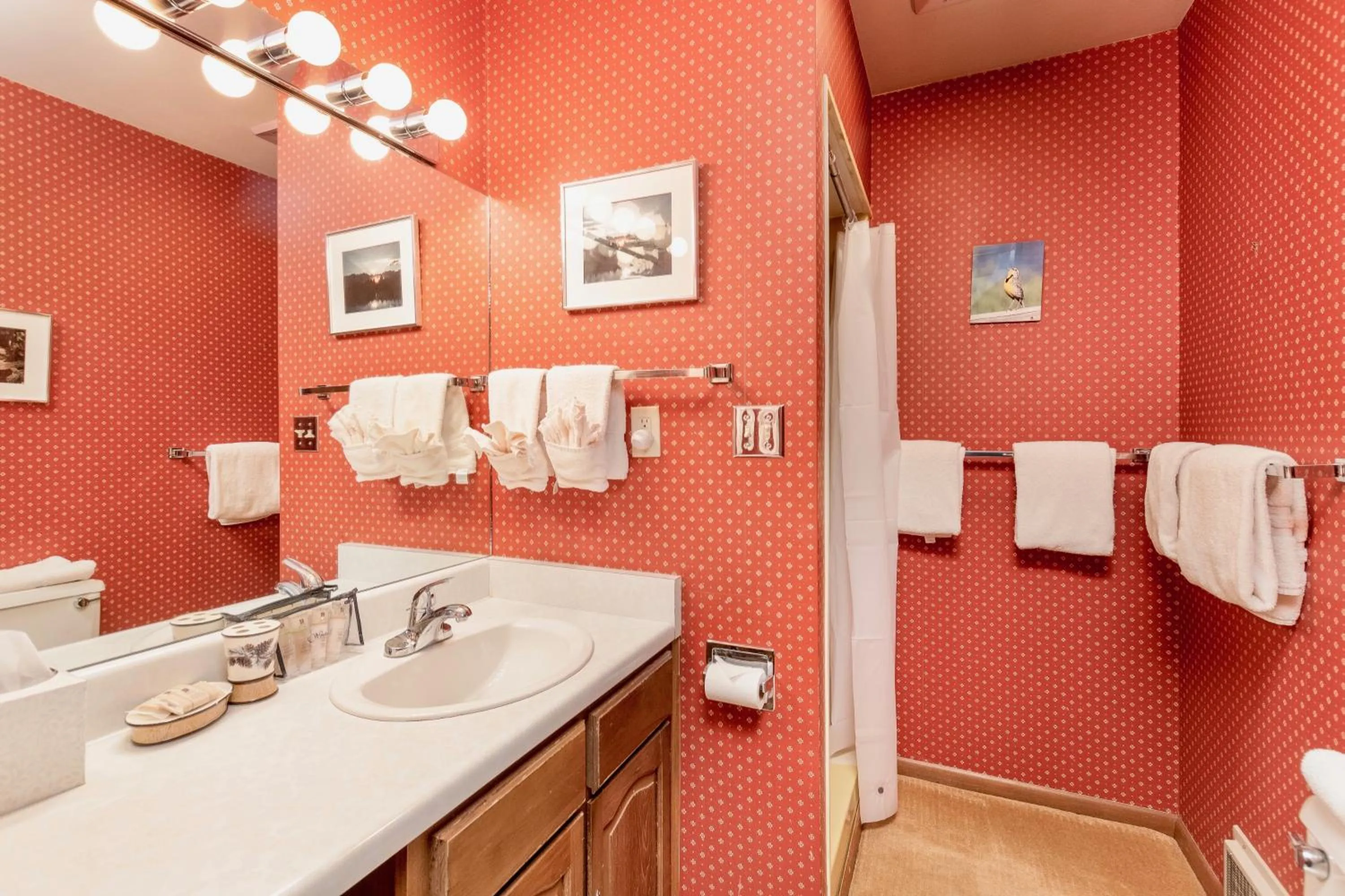 Bathroom in Macmillan Home