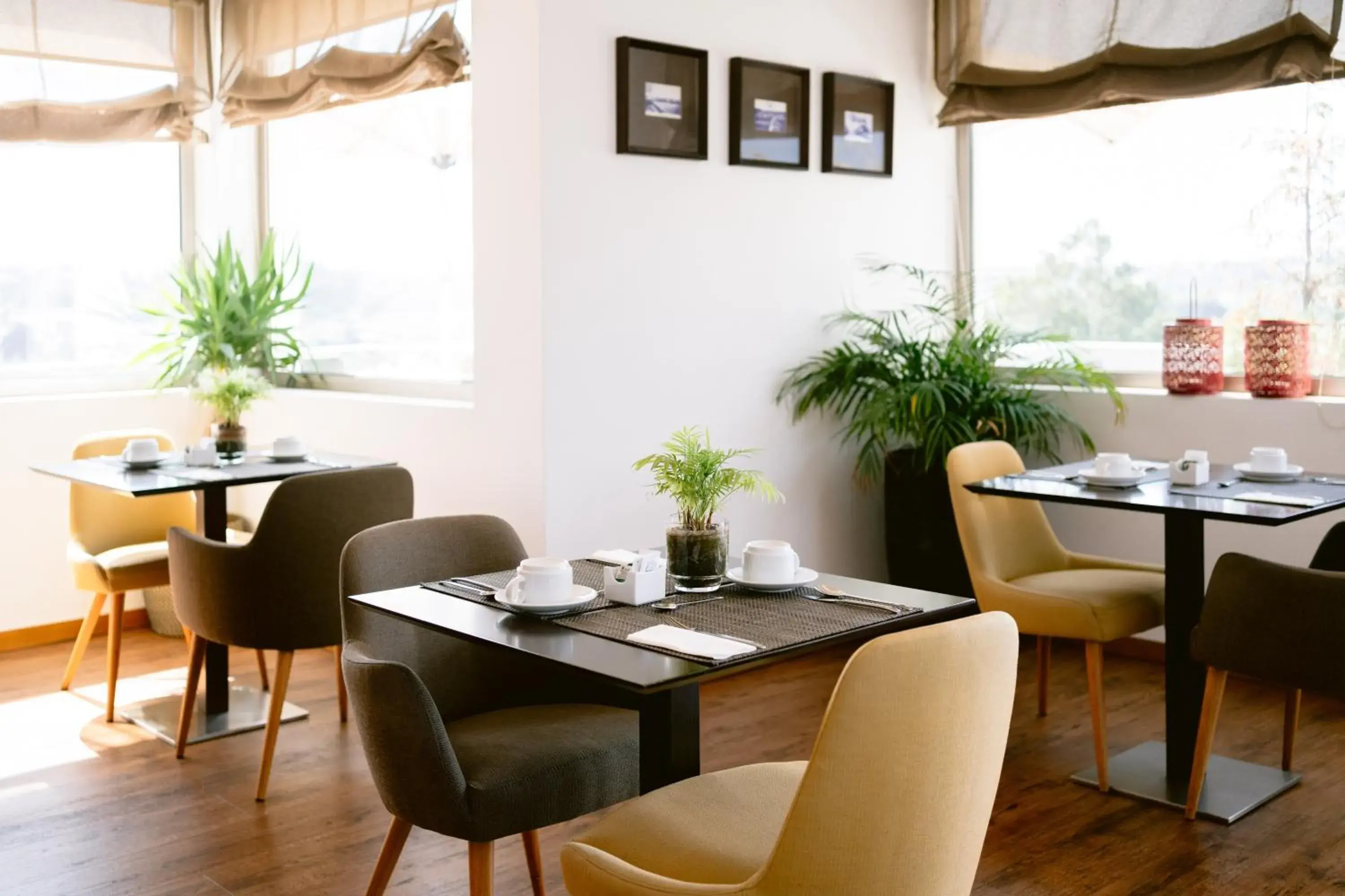 Restaurant/places to eat in Hotel Conde de Agueda Restaurant/places to eat in Hotel Conde de Agueda