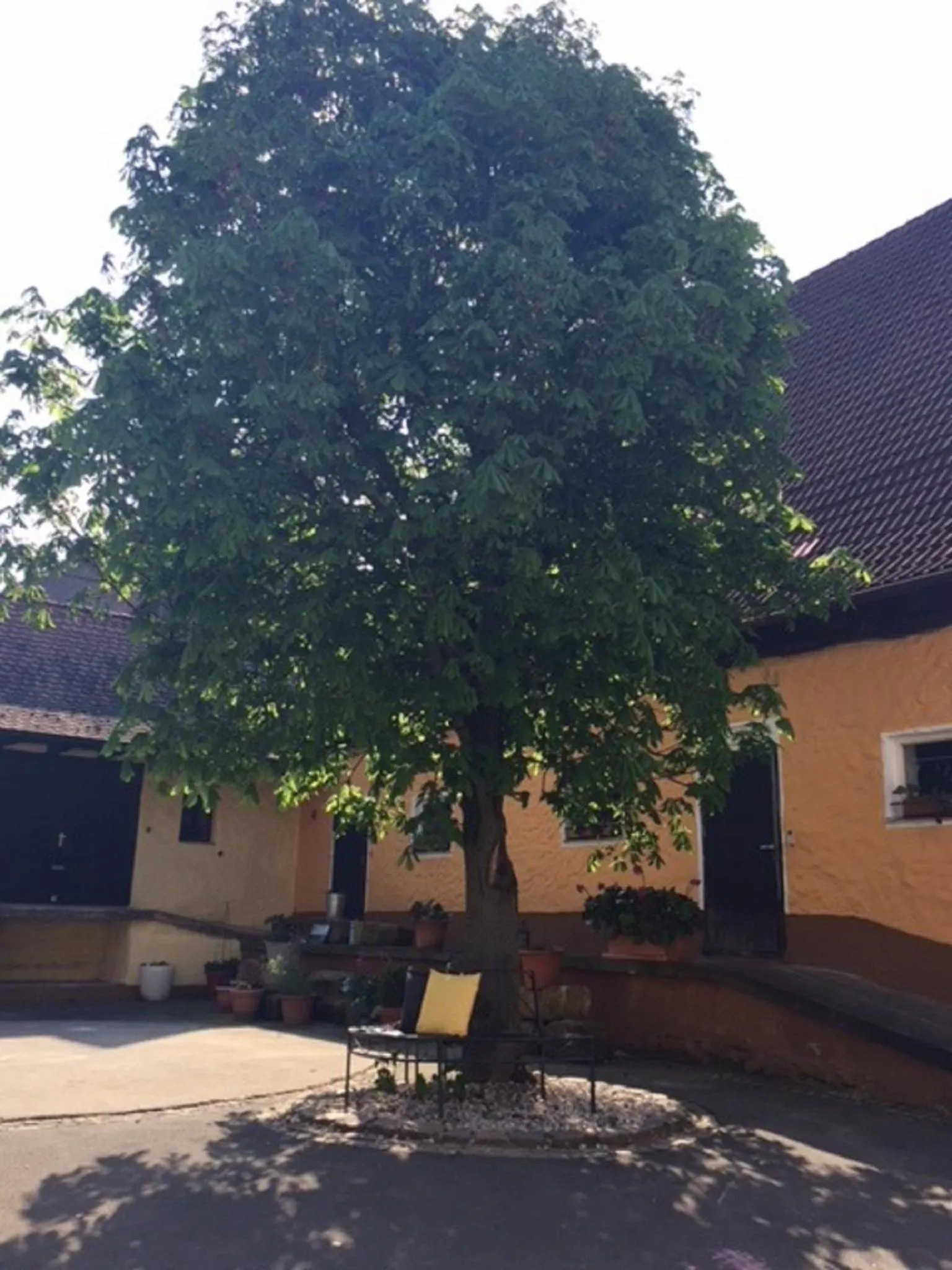 Property building in Gästehaus - Kretschmannshof