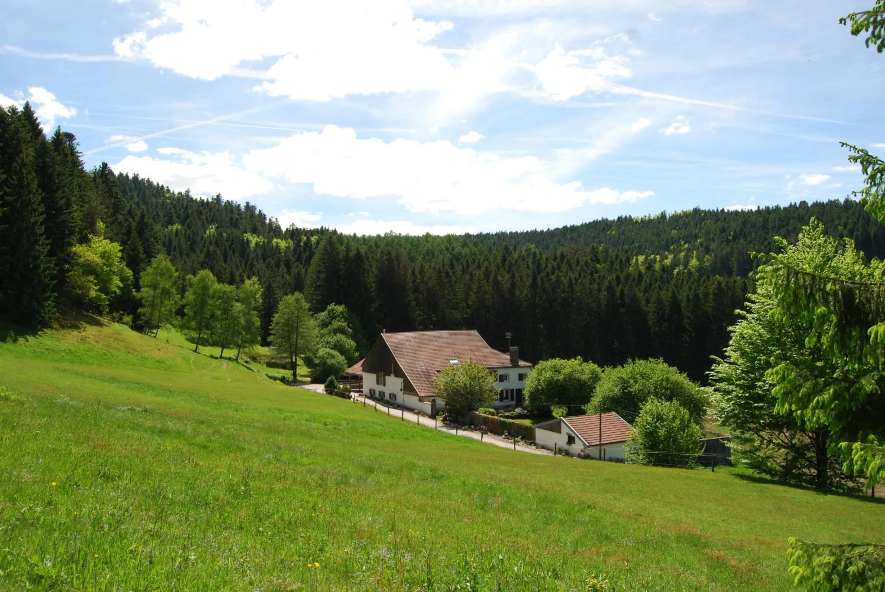 Spring in Chambre d'hôtes Kieffer Le Grand Bienfaisy