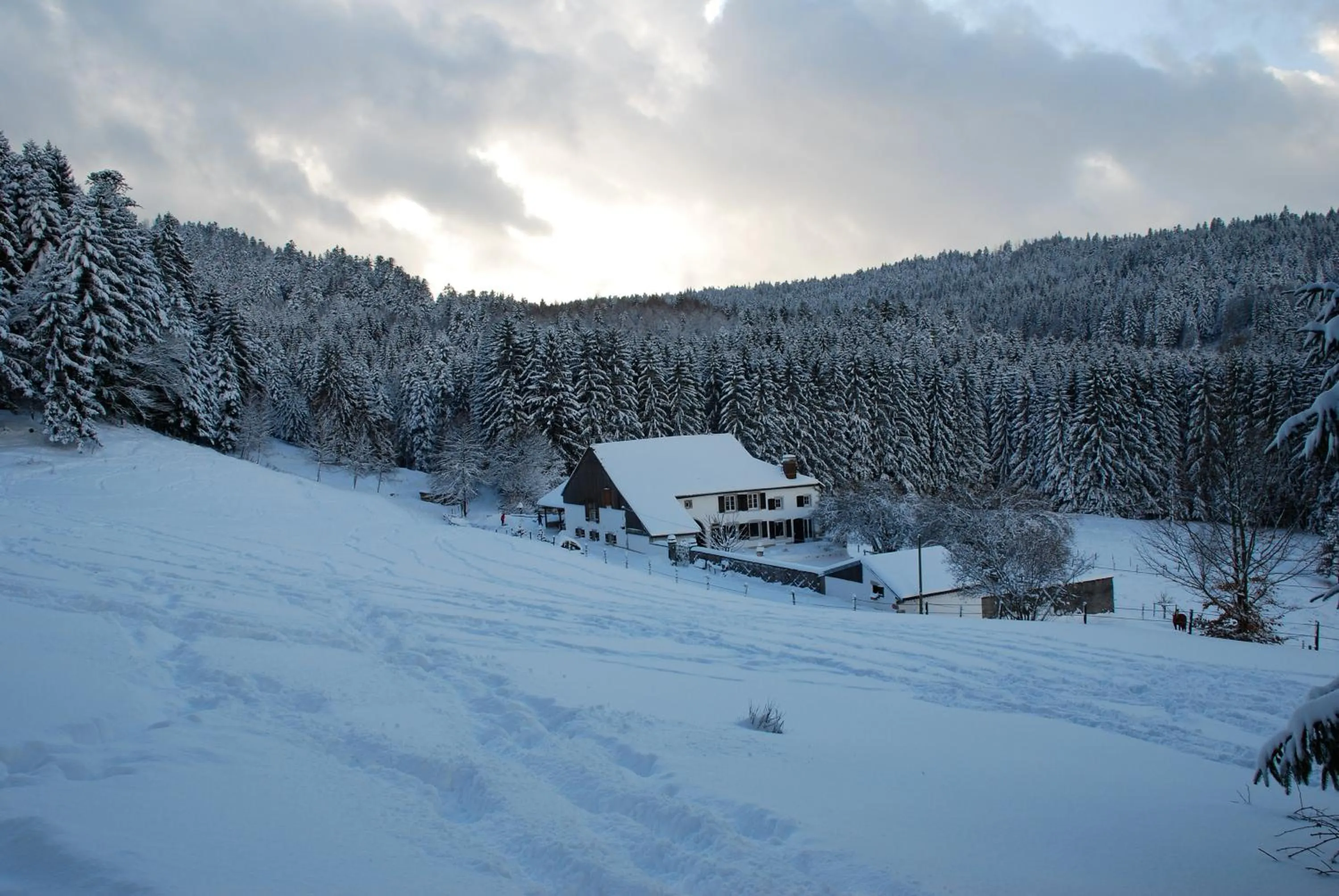 Area and facilities in Chambre d'hôtes Kieffer Le Grand Bienfaisy