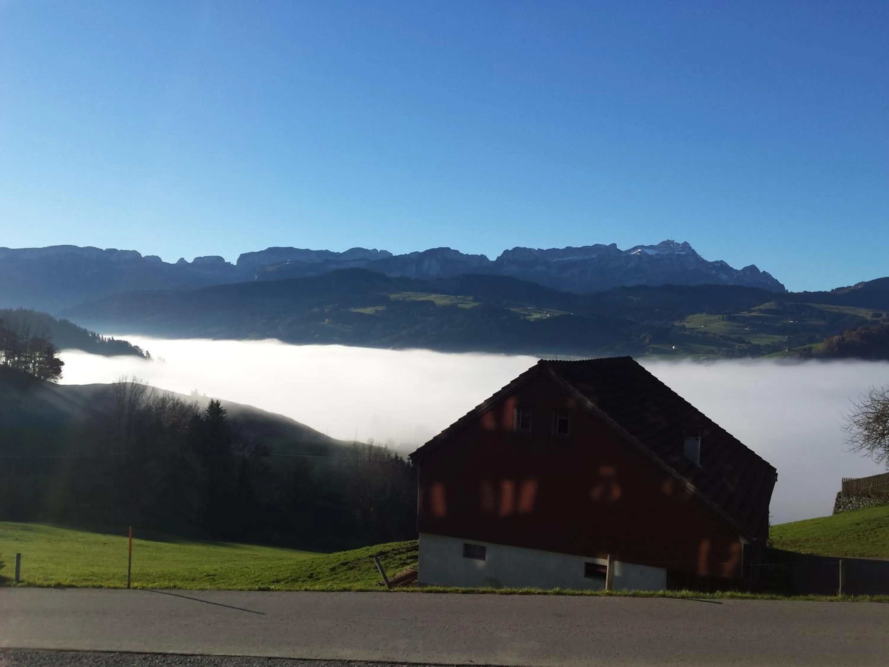 View (from property/room) in Gasthaus Bären Schlatt