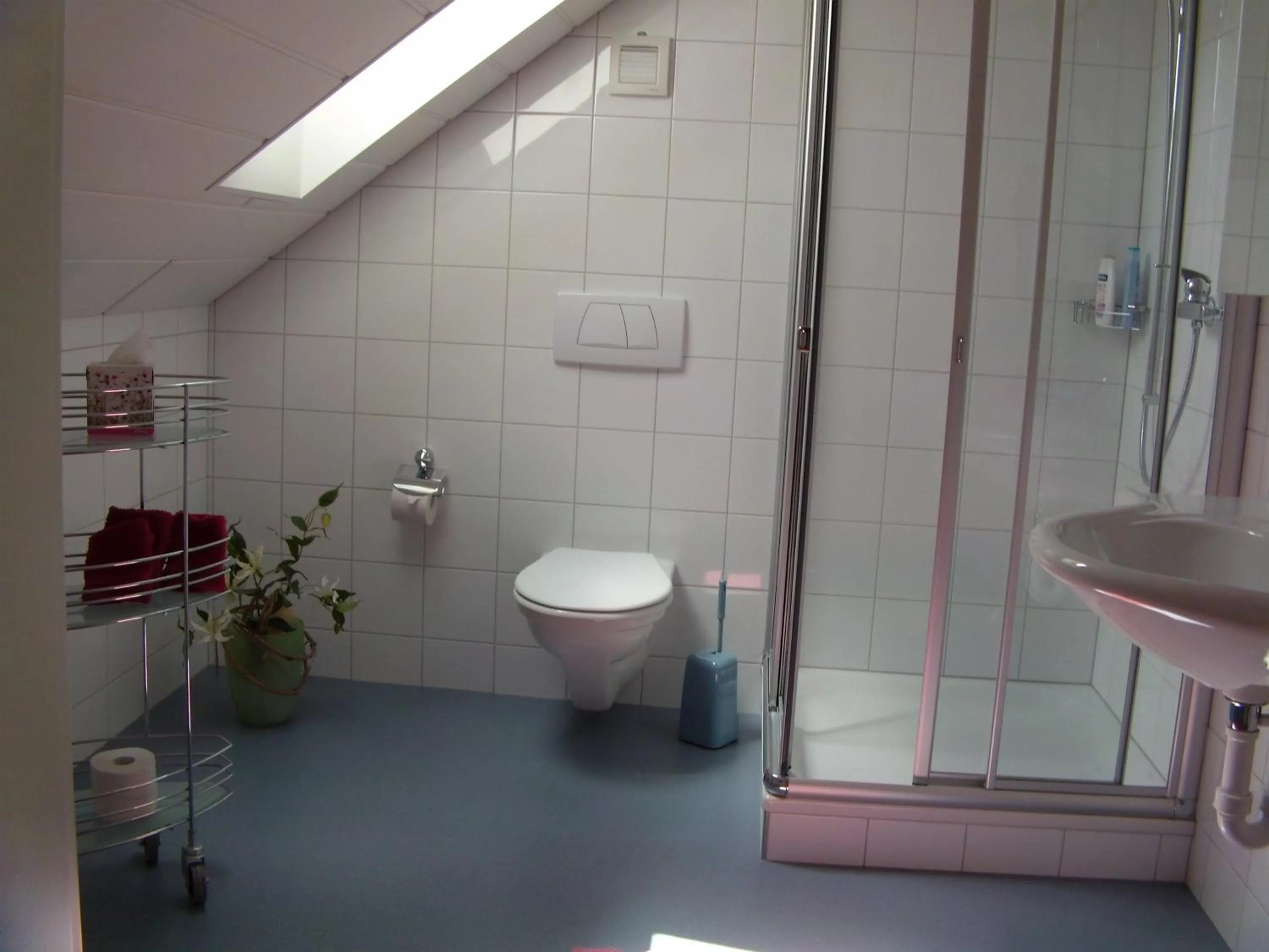 Shower in Gasthaus Bären Schlatt