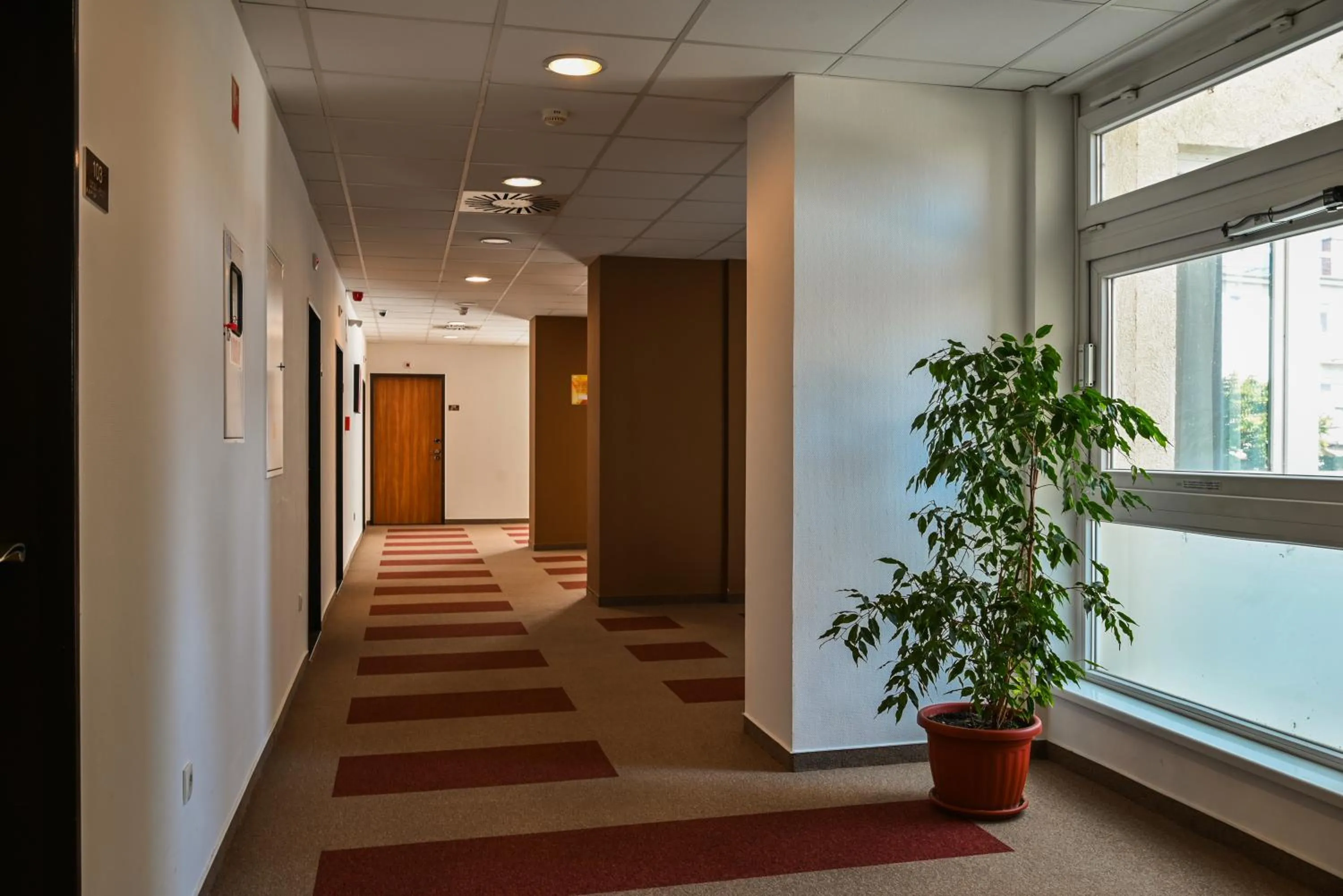 Property building in Hotel Opal Superior - Adults Only