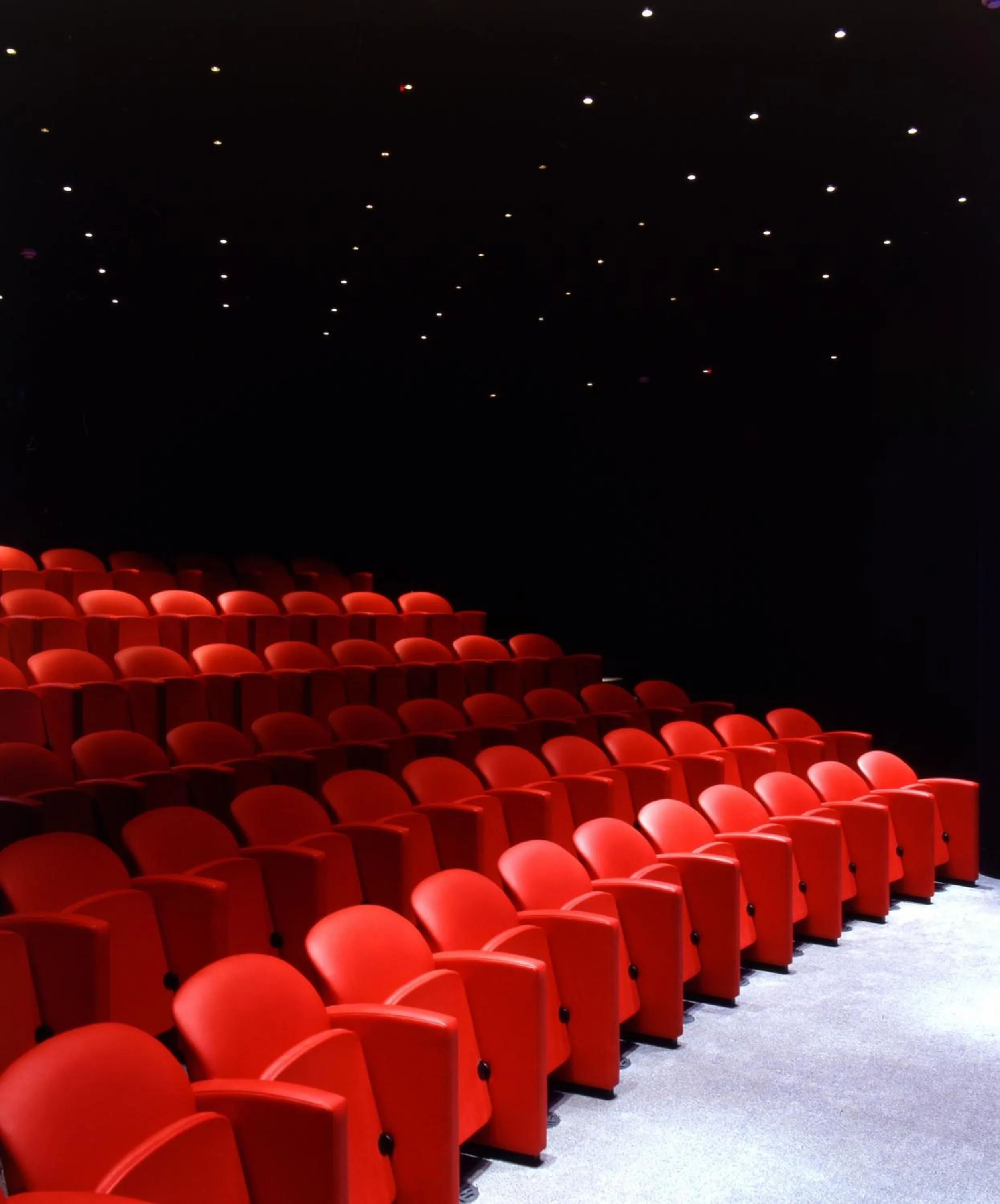 Activities in The Soho Hotel, Firmdale Hotels