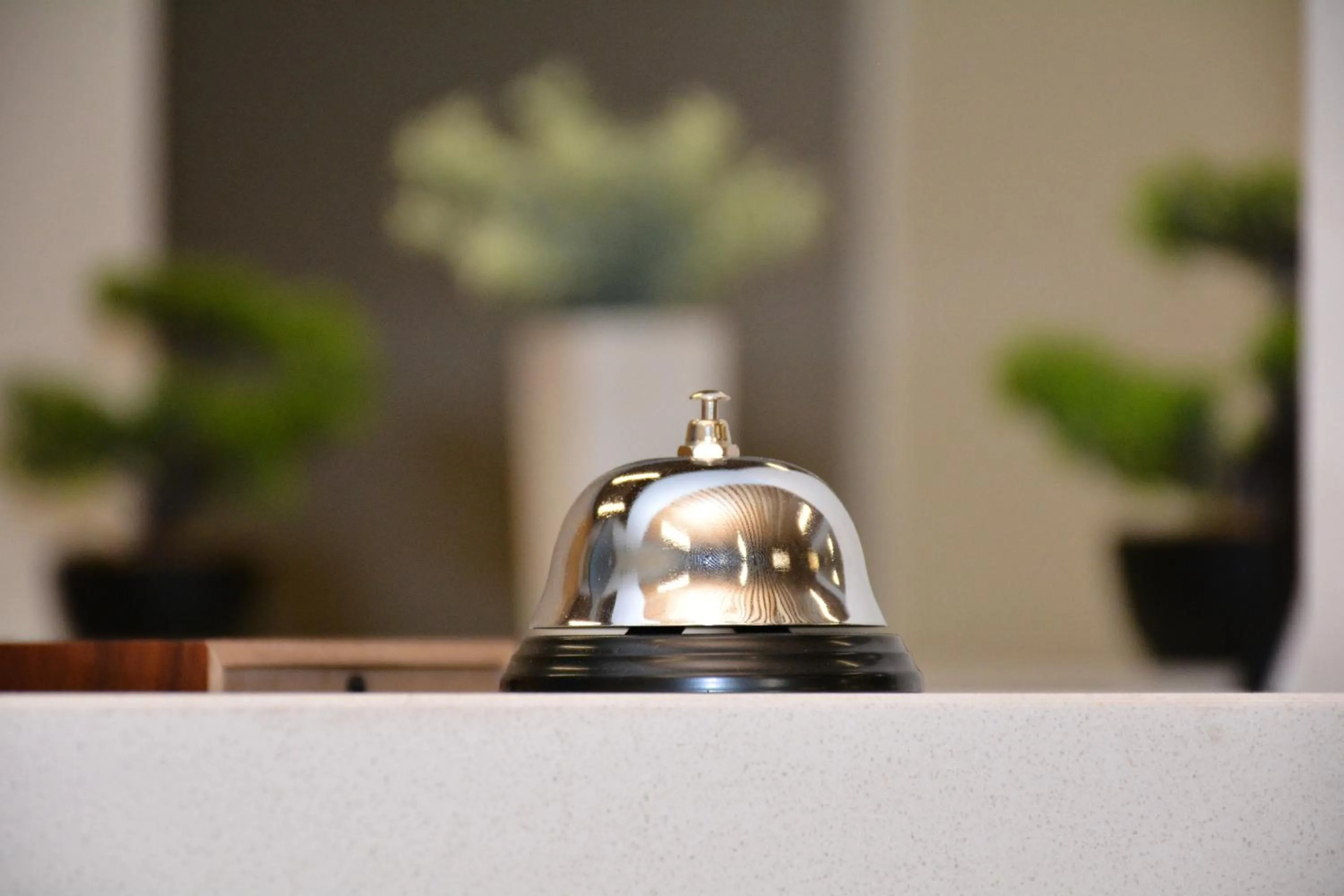 Lobby or reception in Hotel Garnet Tbilisi