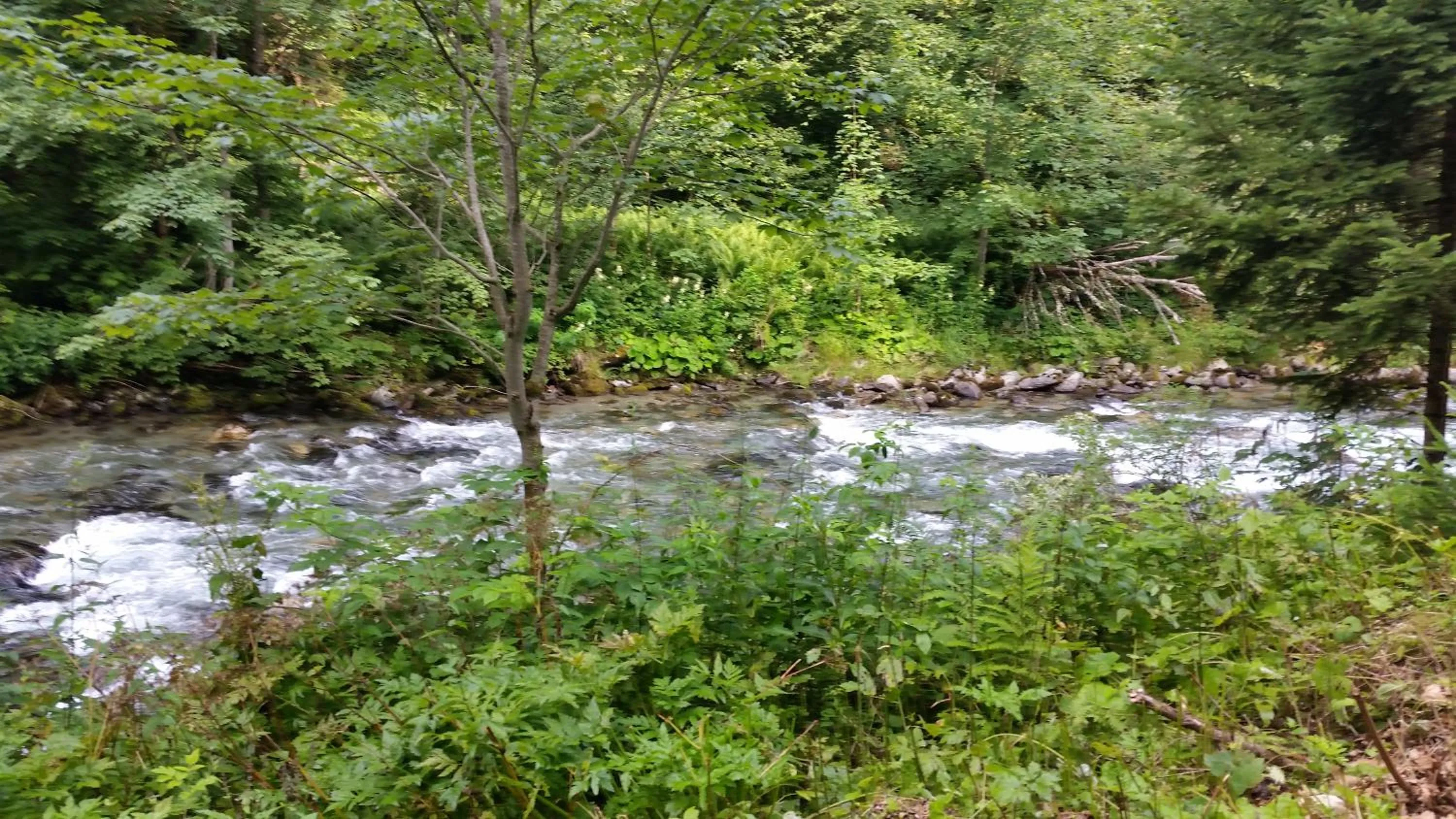 Property building in Haus Silvia Kraml