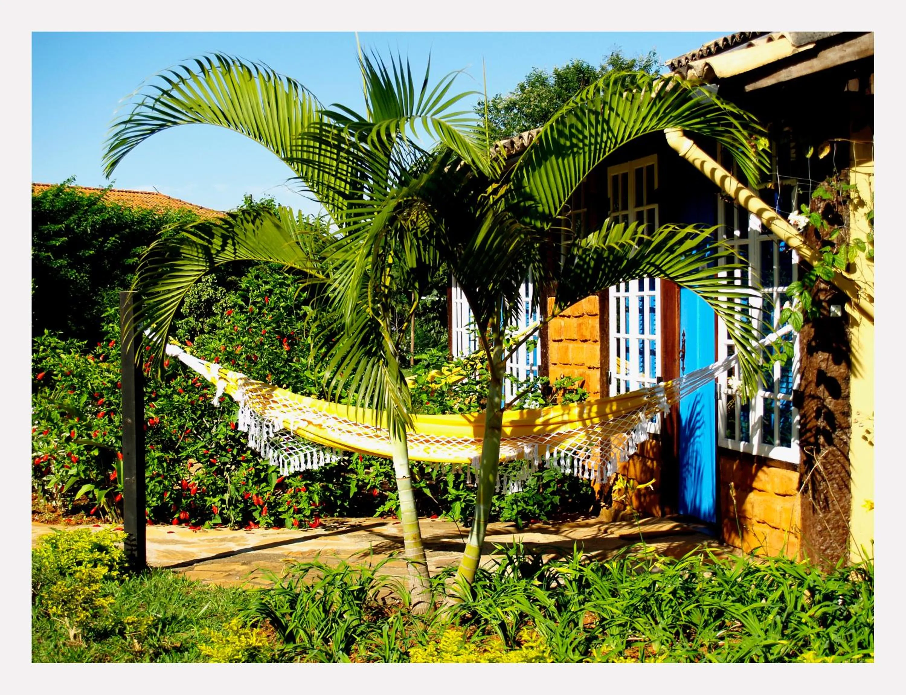 Garden in Pousada Paço do Lavradio