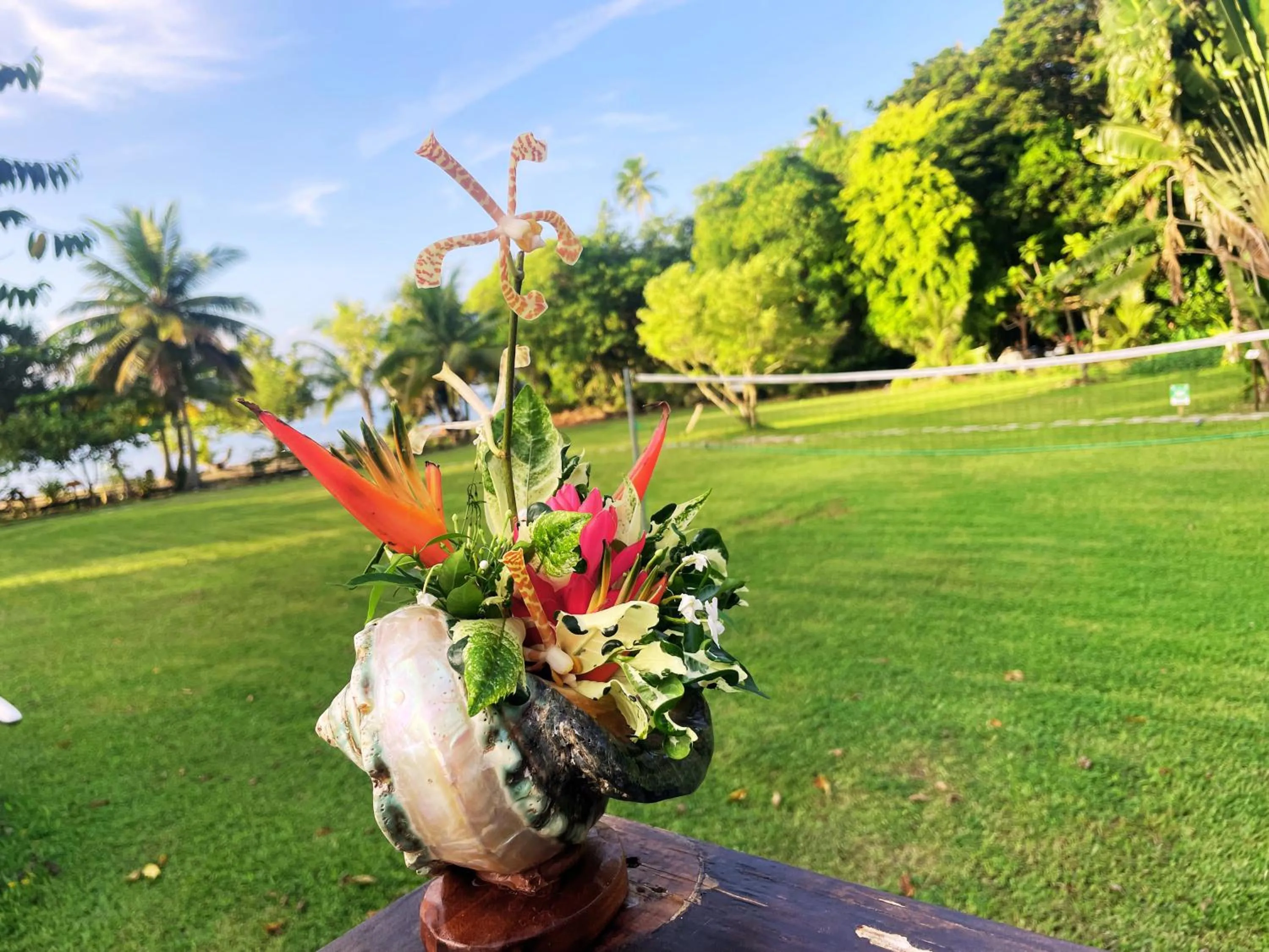 Garden view in Fare Oviri Lodge