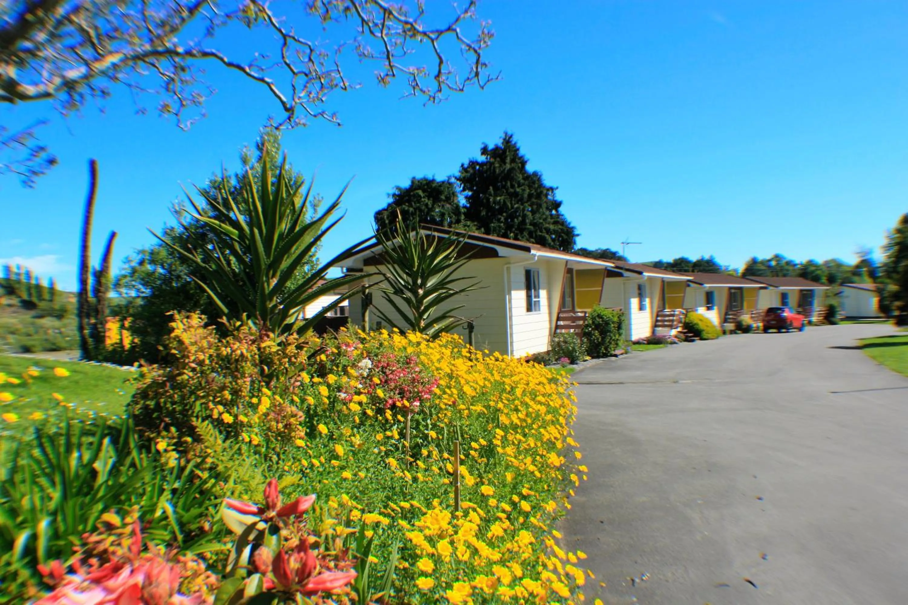 River view in Whanganui River Top 10 Holiday Park