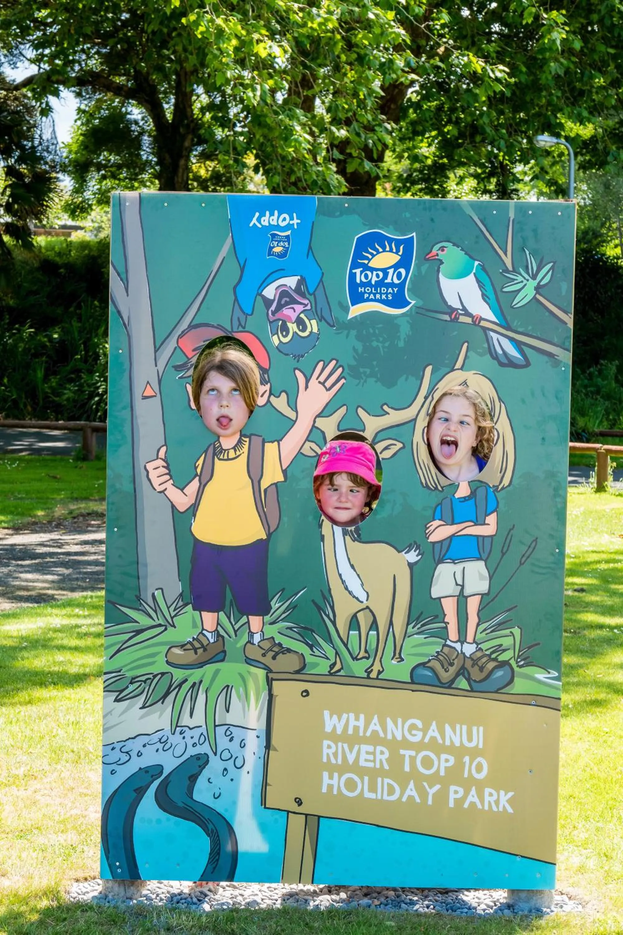 Activities in Whanganui River Top 10 Holiday Park