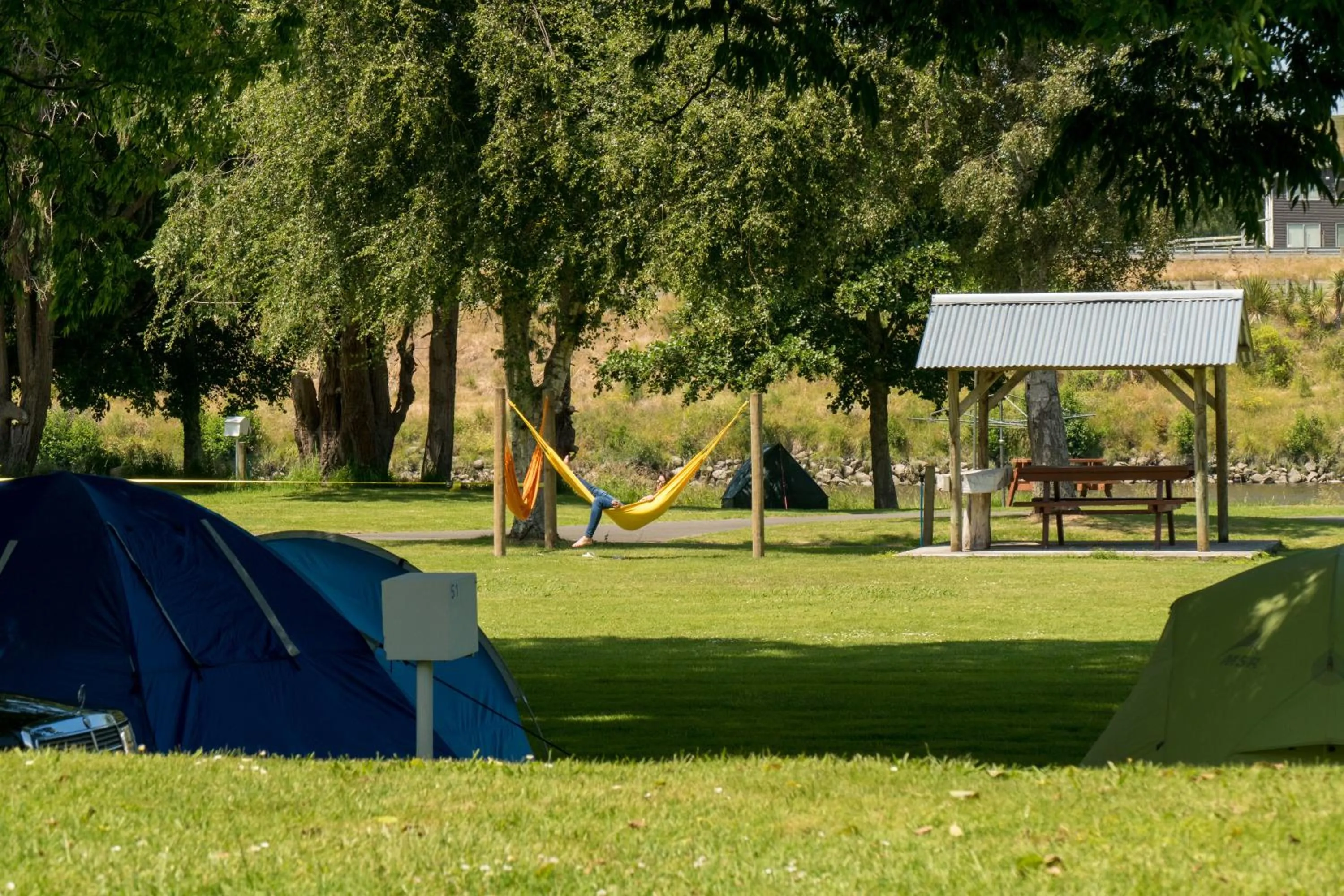 Garden view in Whanganui River Top 10 Holiday Park