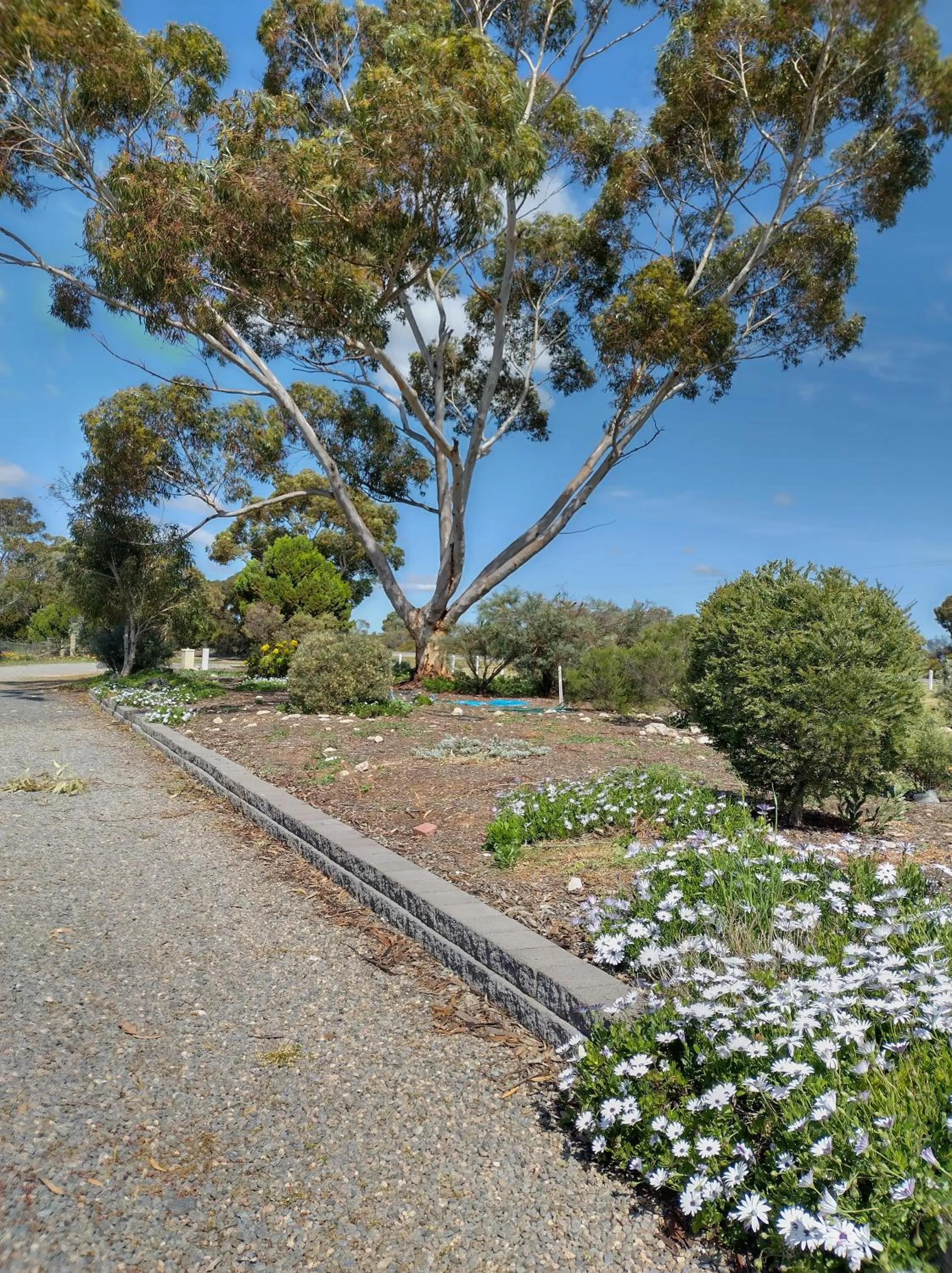 View (from property/room) in Murray Bridge Motor Inn