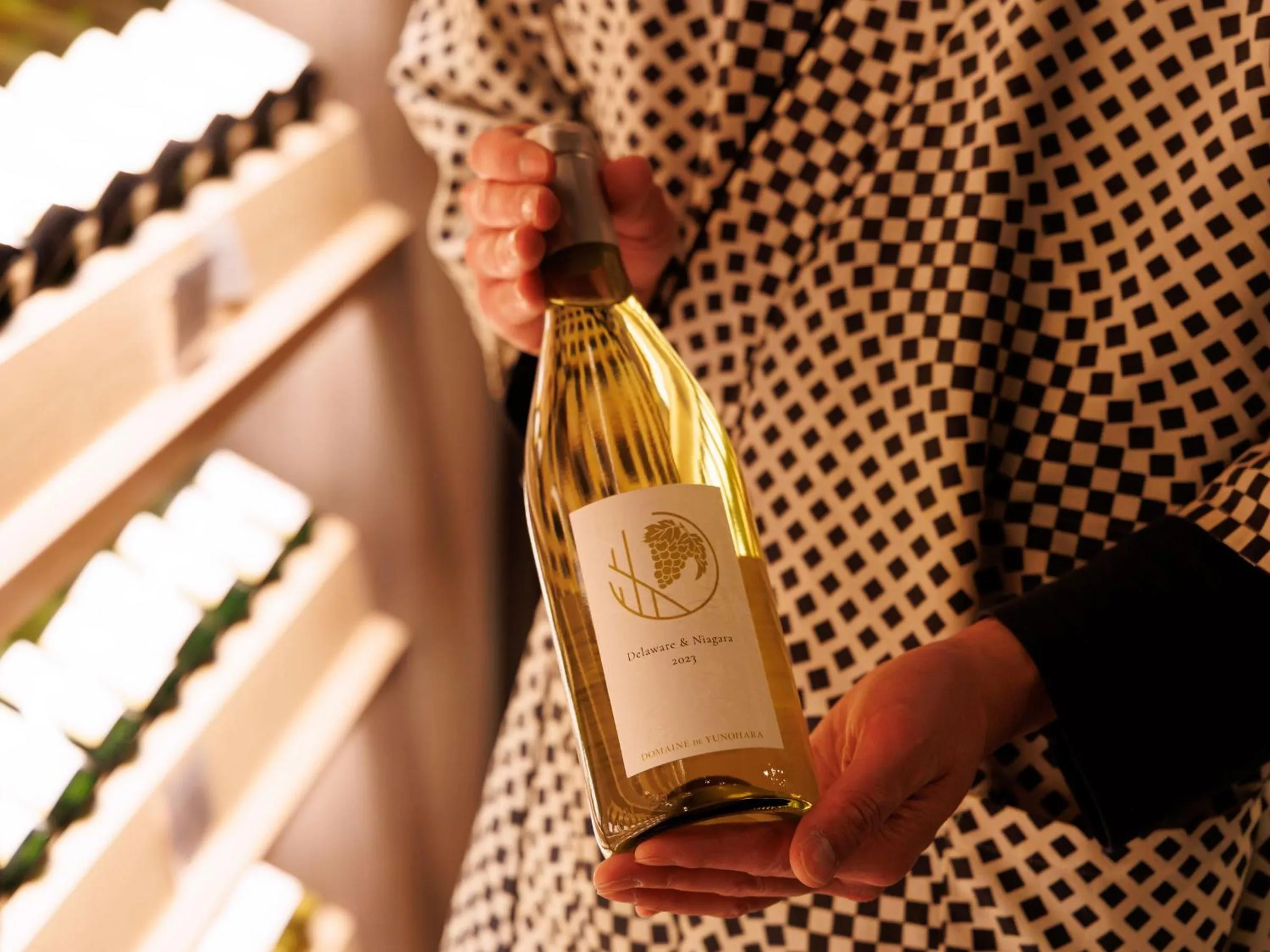 Shopping Area in Oiwakeya Ryokan