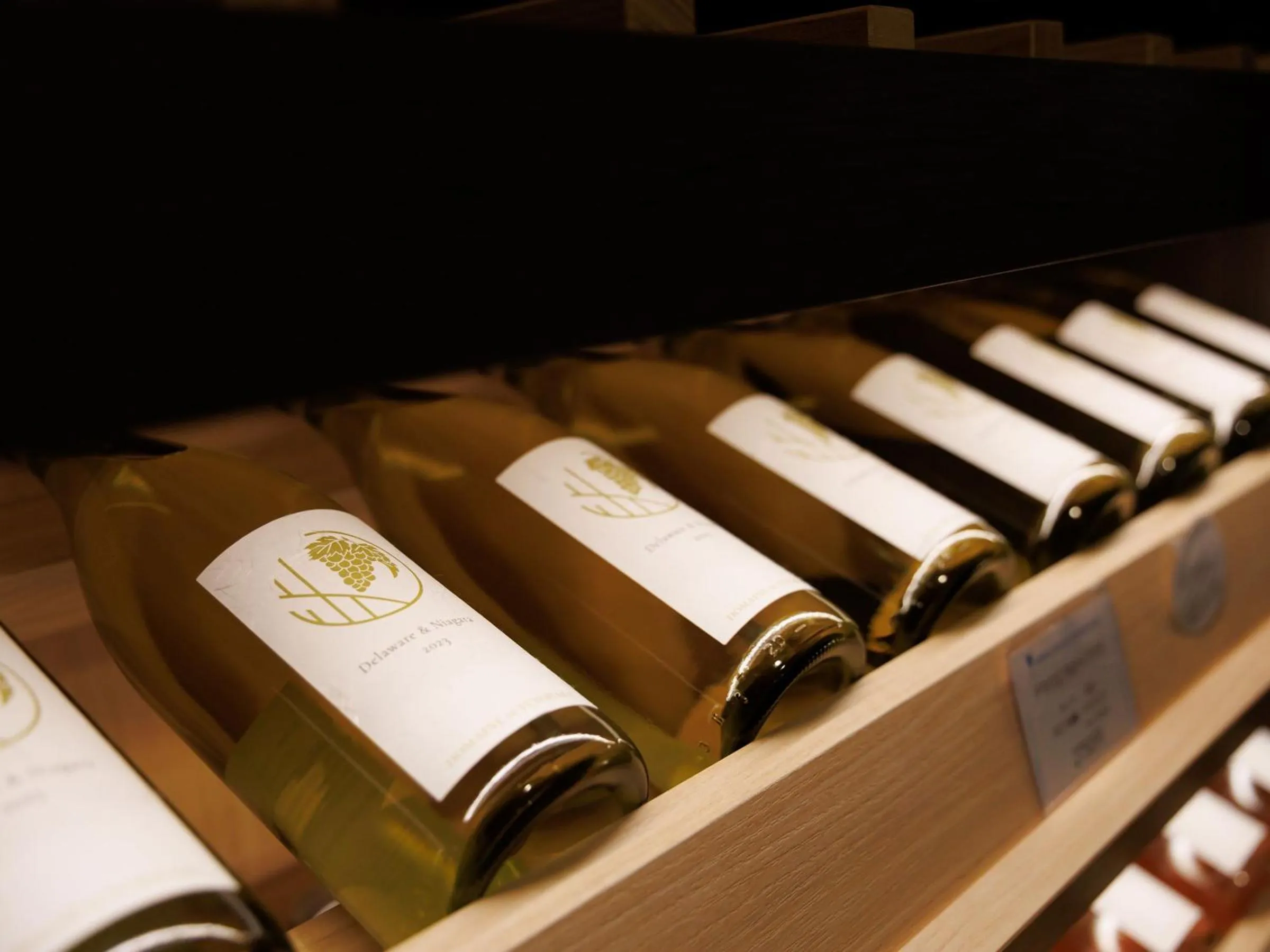 Shopping Area in Oiwakeya Ryokan