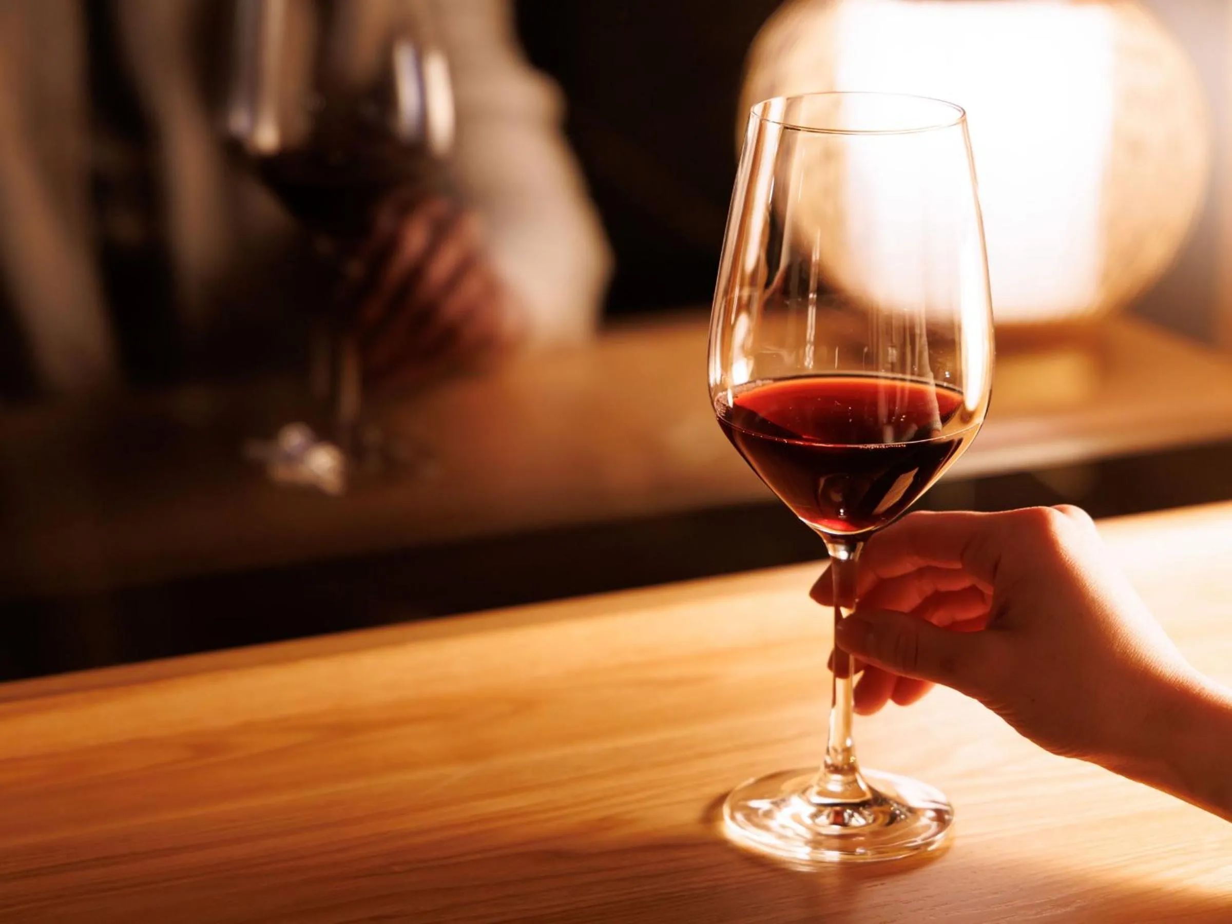 Lounge or bar in Oiwakeya Ryokan