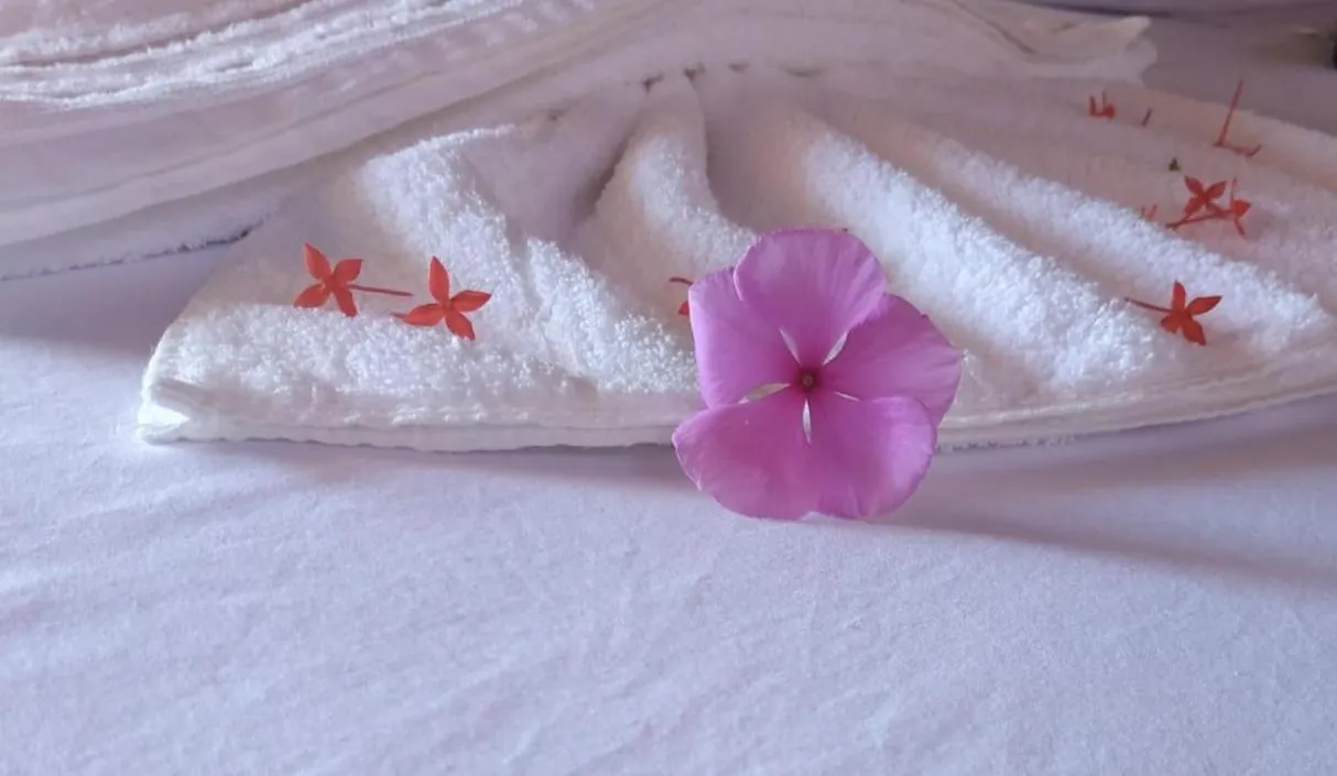 Decorative detail in Pousada da praça