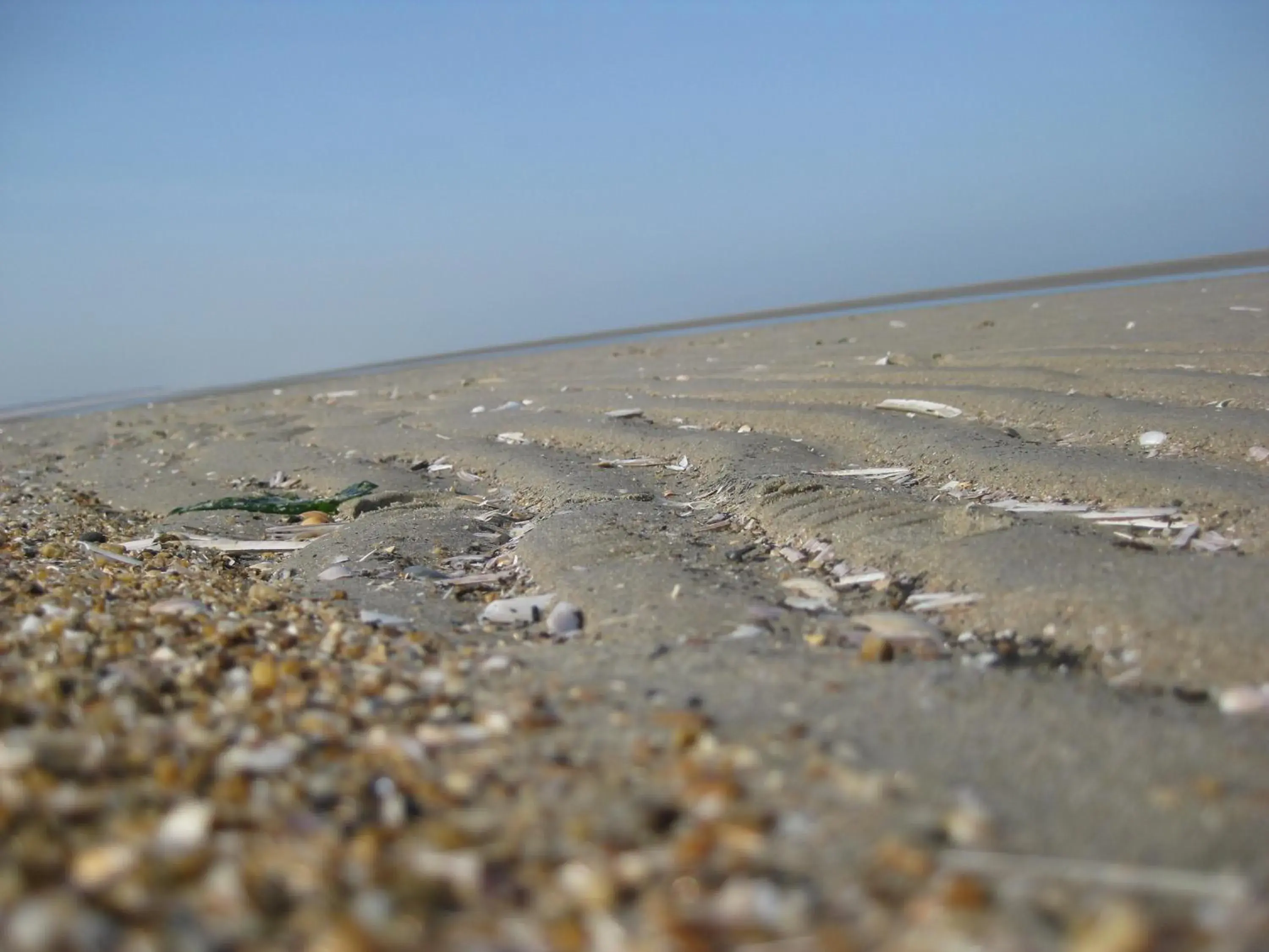 Area and facilities in Fletcher Hotel-Restaurant Duinzicht Area and facilities in Fletcher Hotel-Restaurant Duinzicht