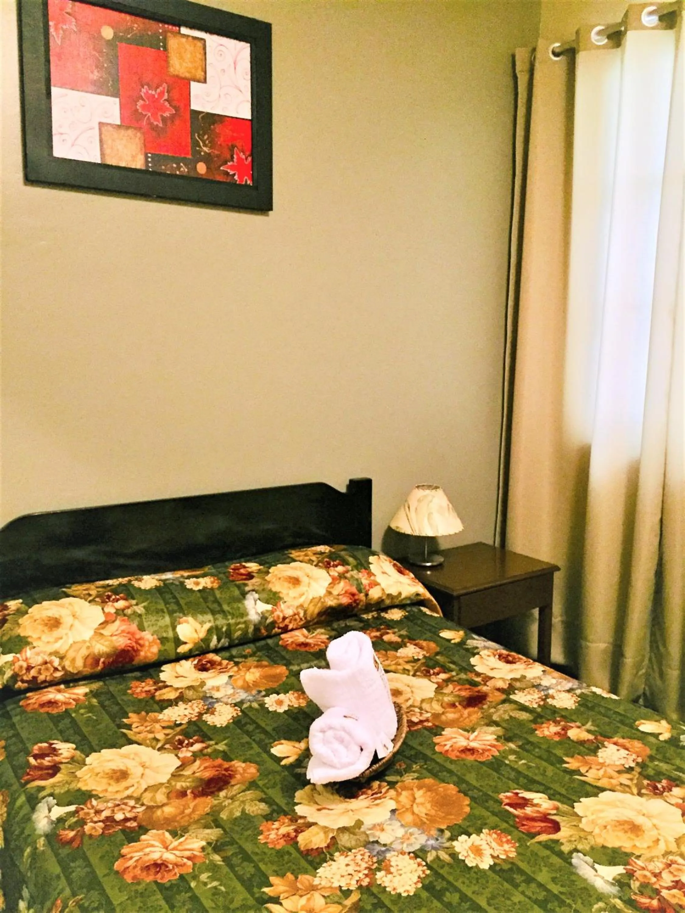 Double Room - single occupancy in Hostal Carlos Tenaud