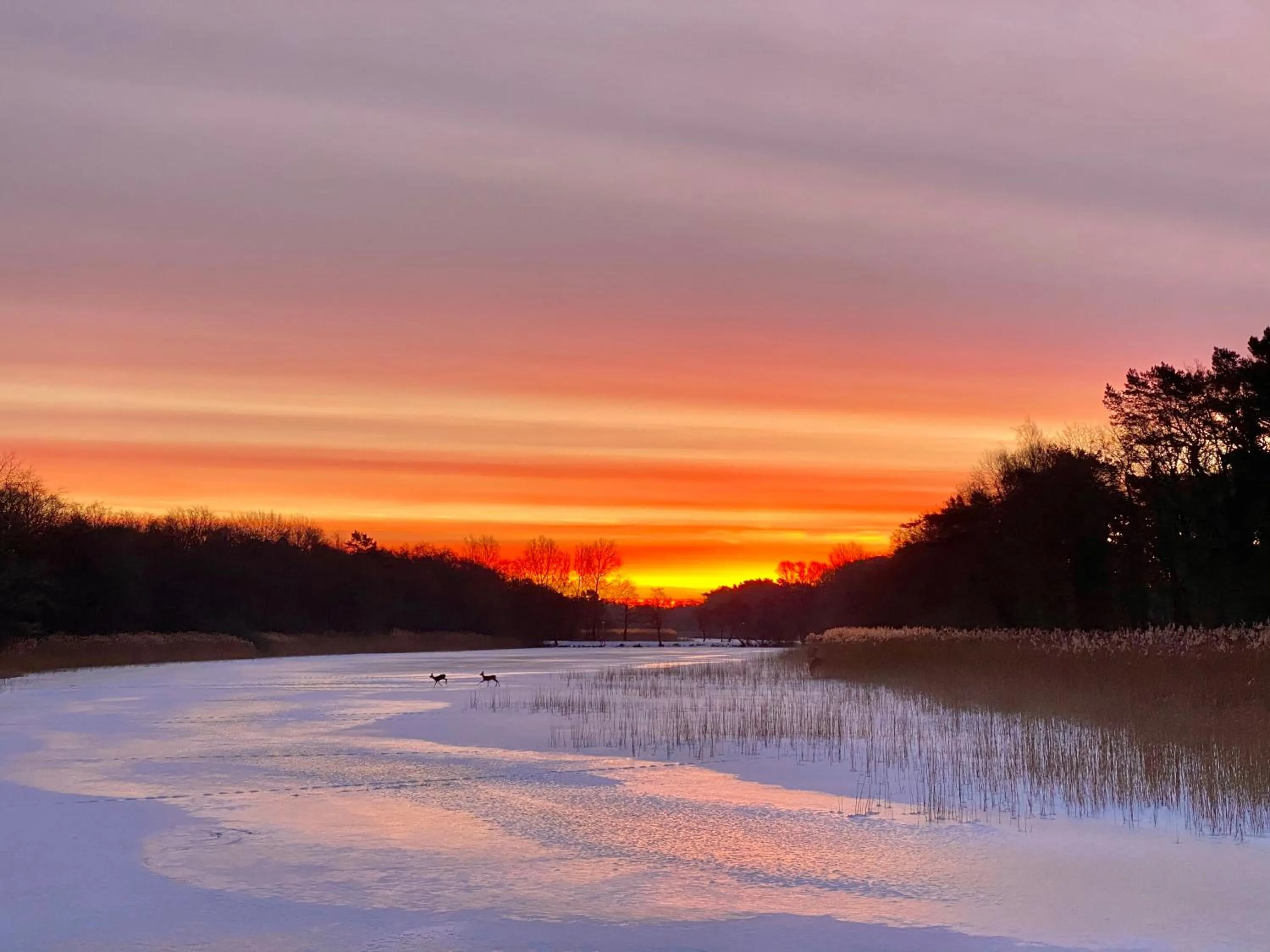 Hotel Residenz Rennhack