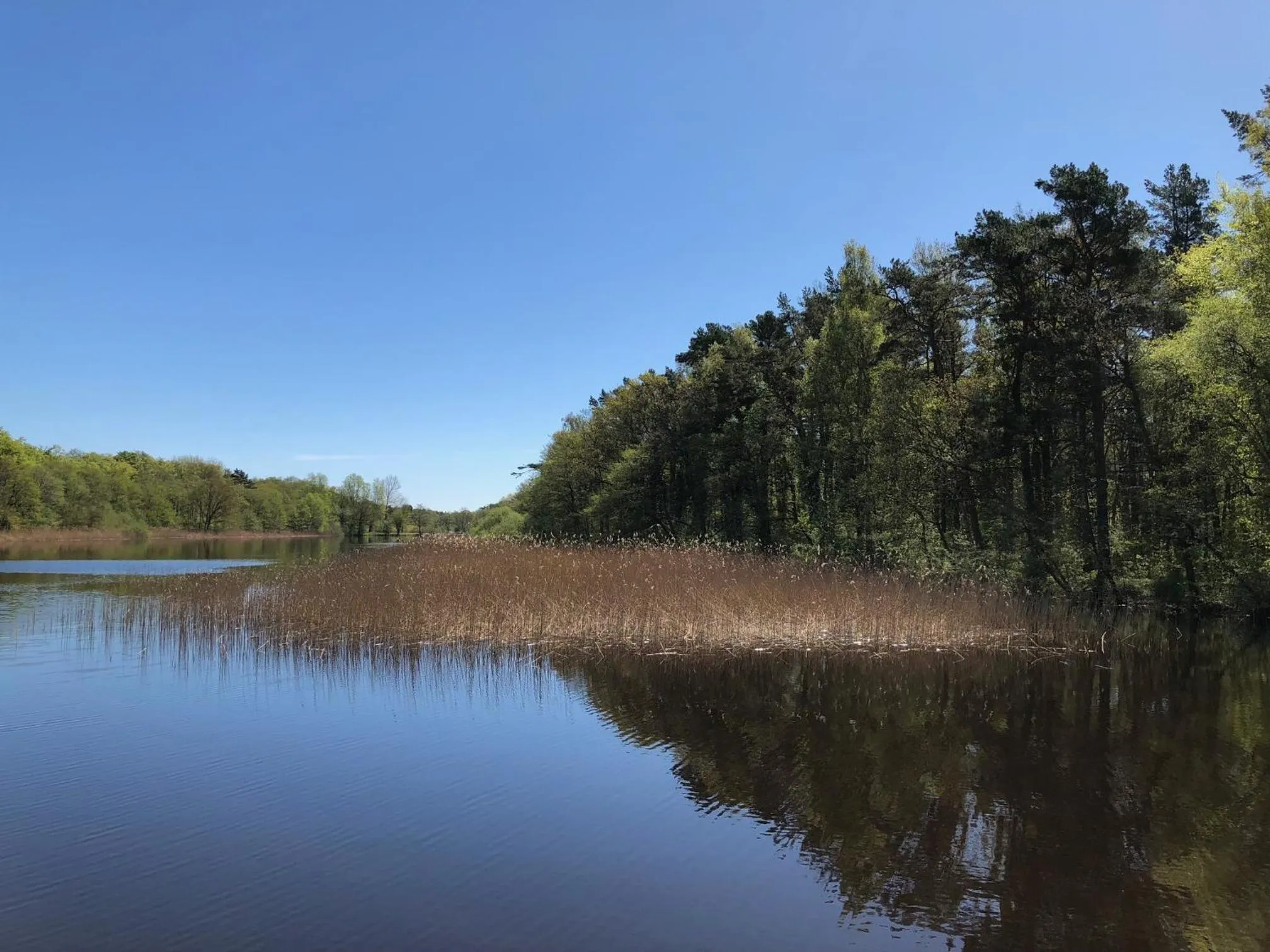 Spring in Hotel Residenz Rennhack