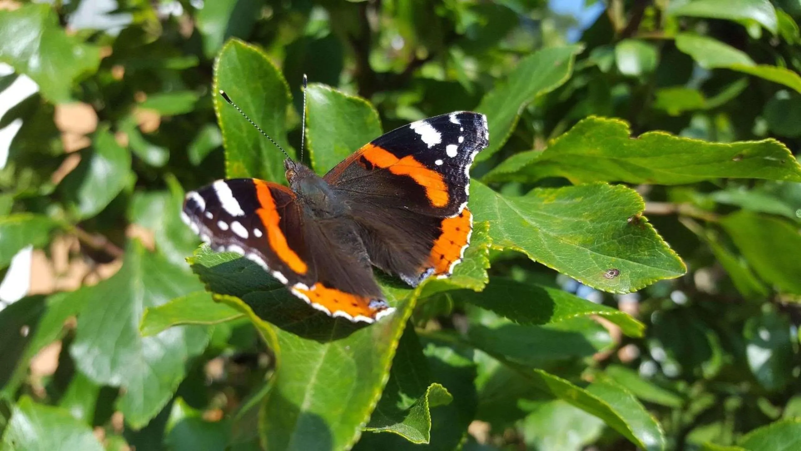 Day in Hotel Residenz Rennhack